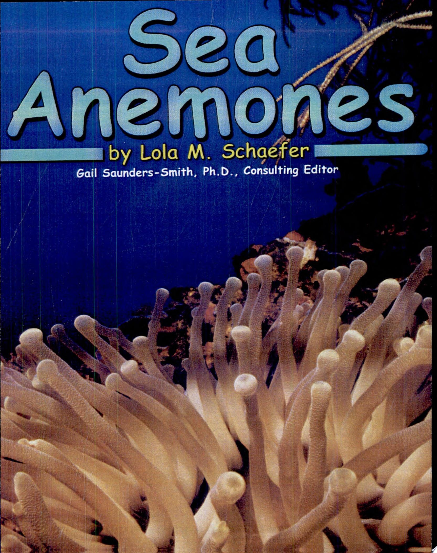 Sea Anemones