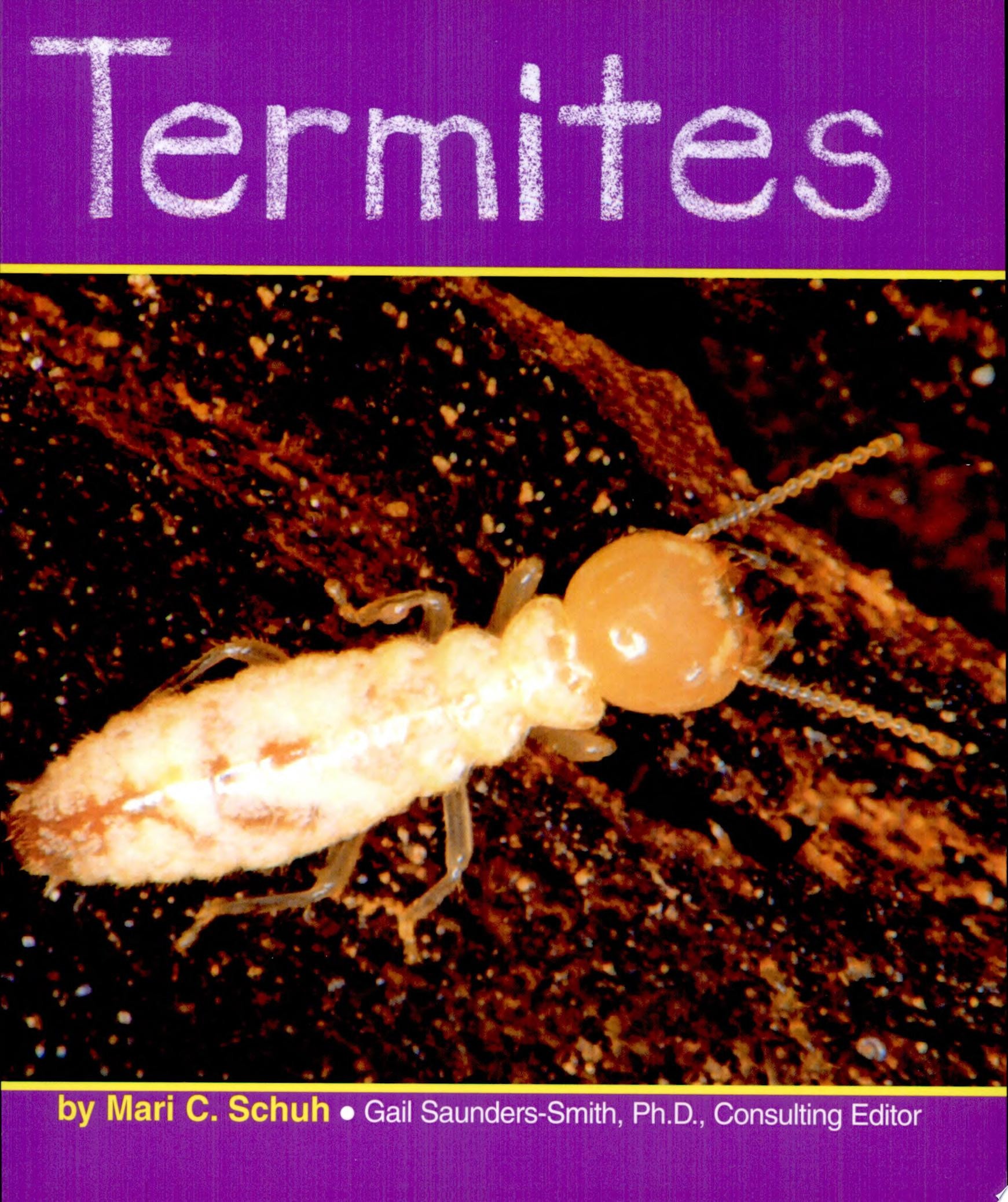 Termites
