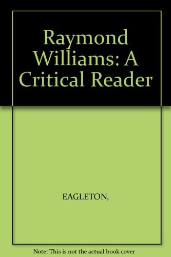 Raymond Williams Critical Perspectives