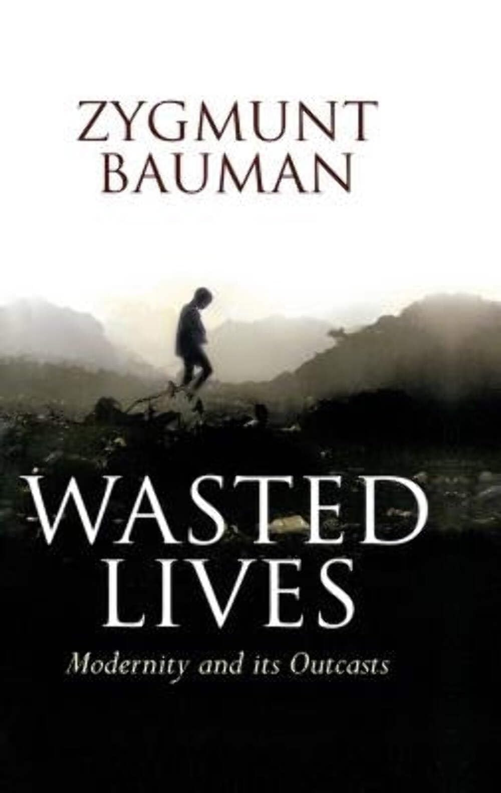Wasted Lives Modernity and Its Outcasts