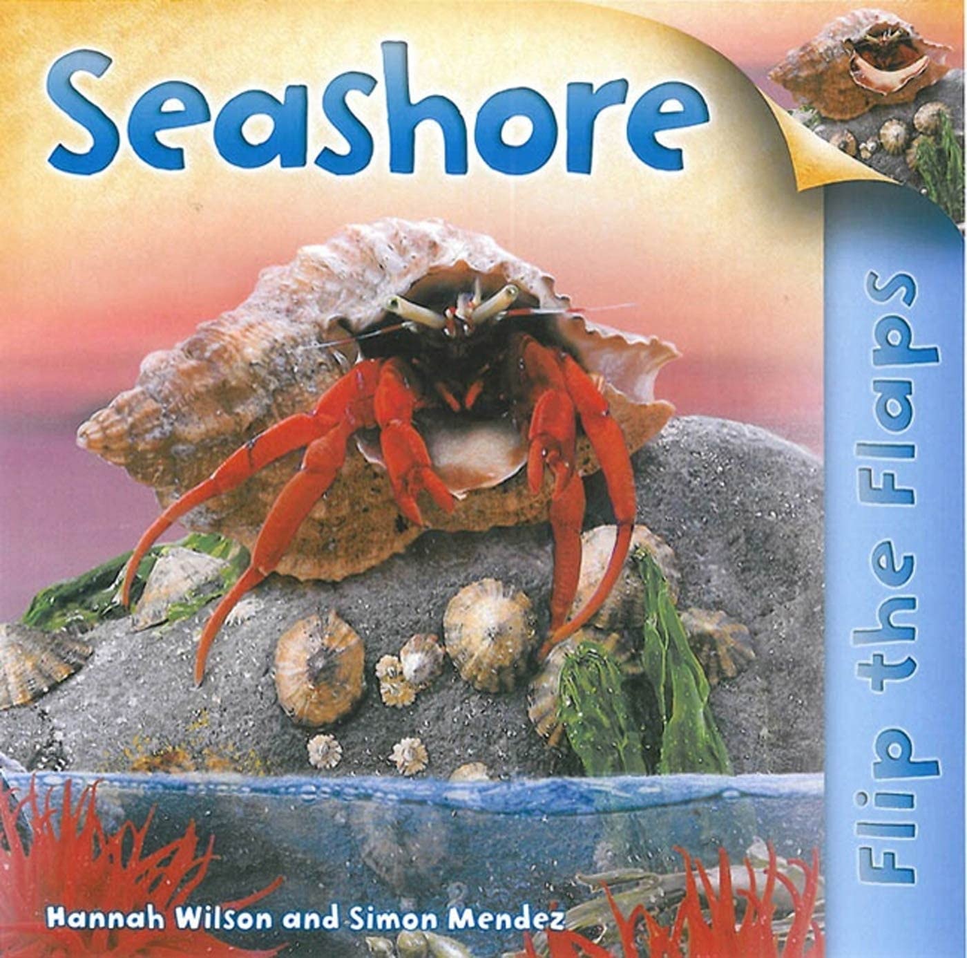 Flip The Flaps: Seashore Seashore