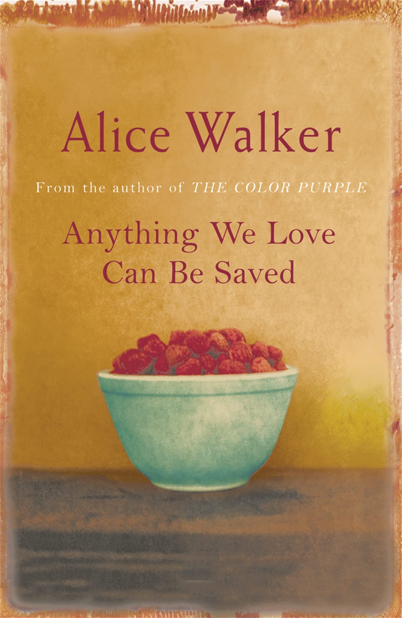 Anything We Love Can be Saved A Writer's Activism