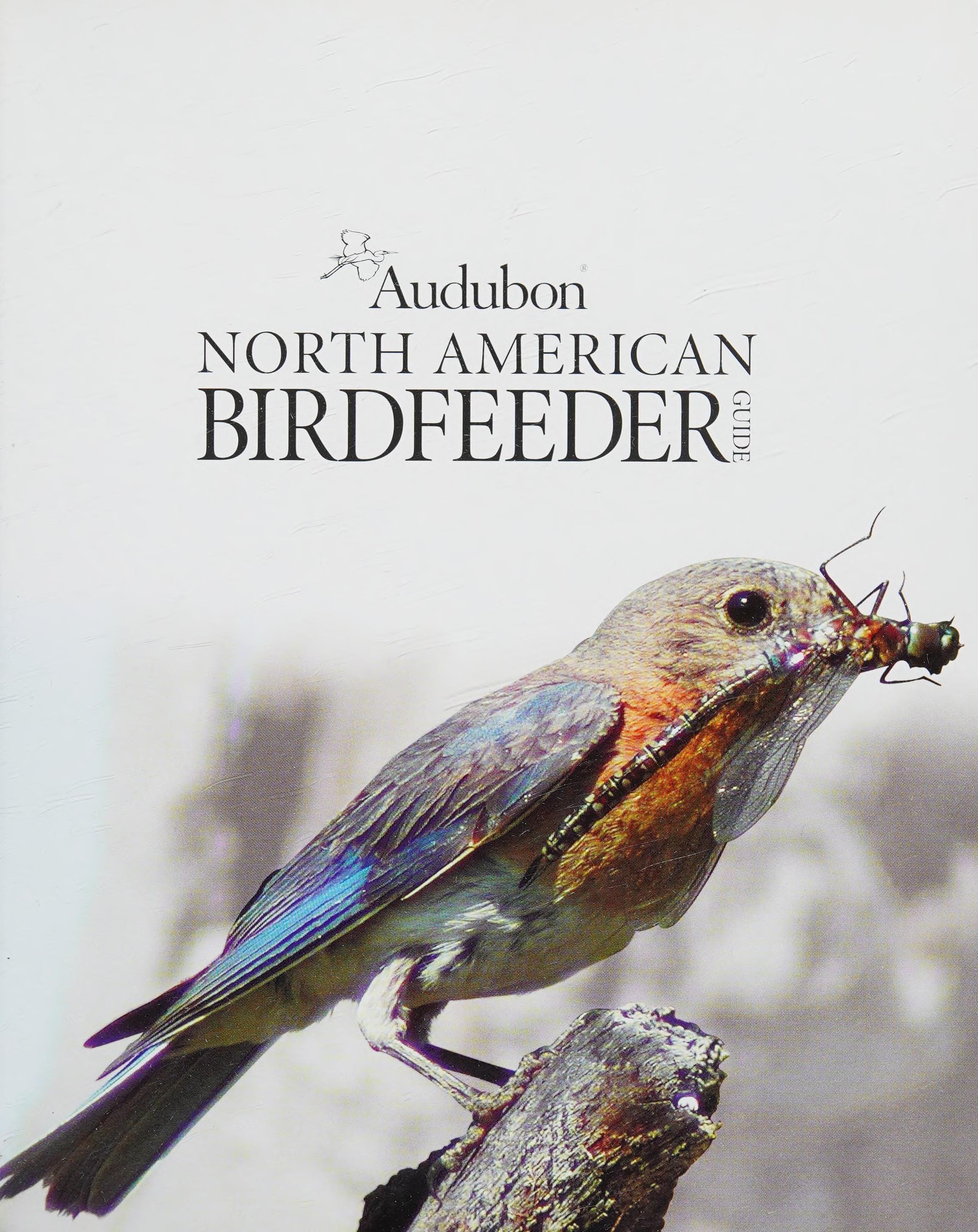 Audubon North American Birdfeeder Guide