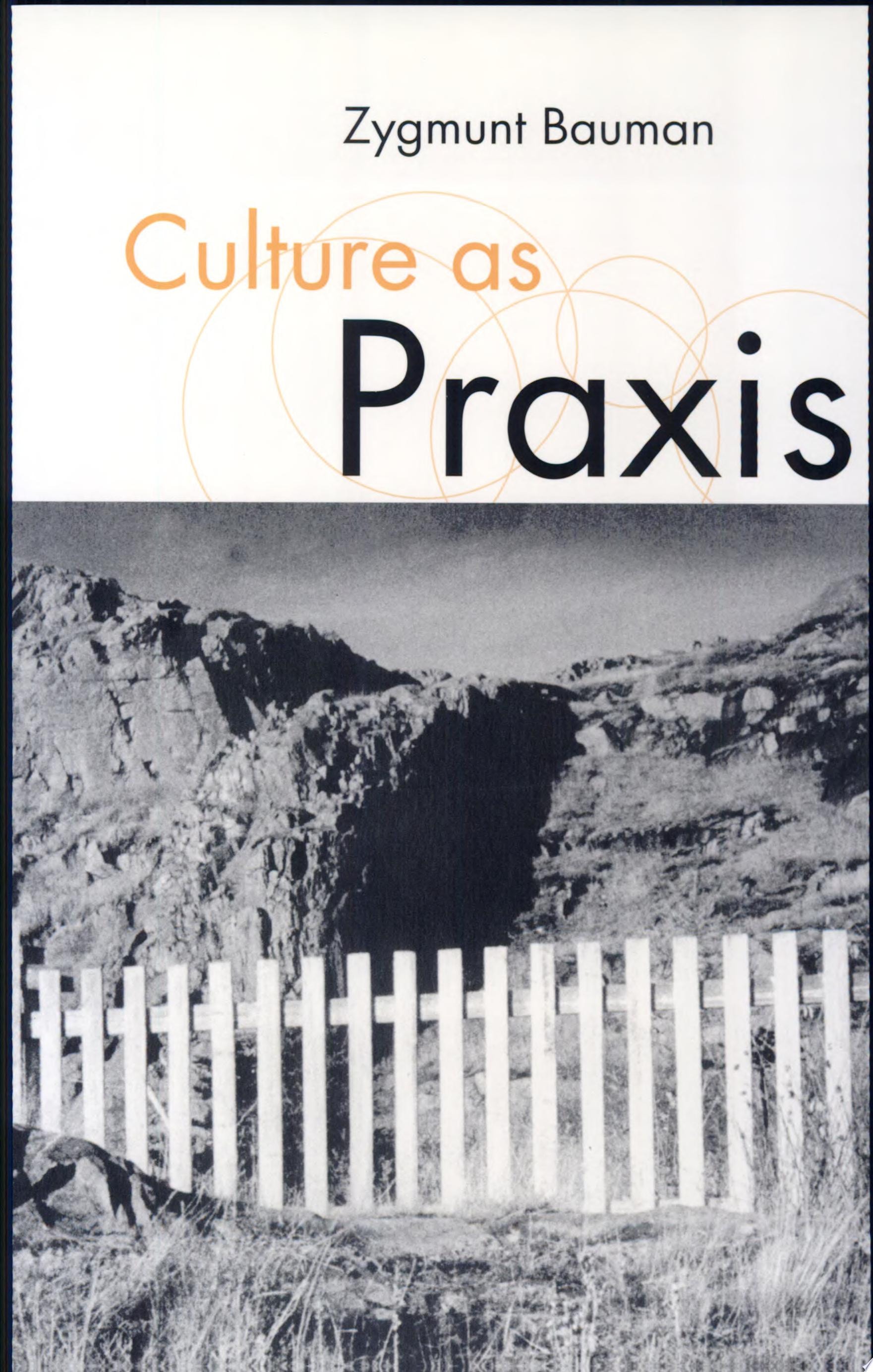 Culture as Praxis