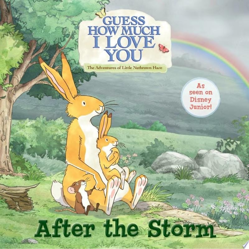 After the Storm