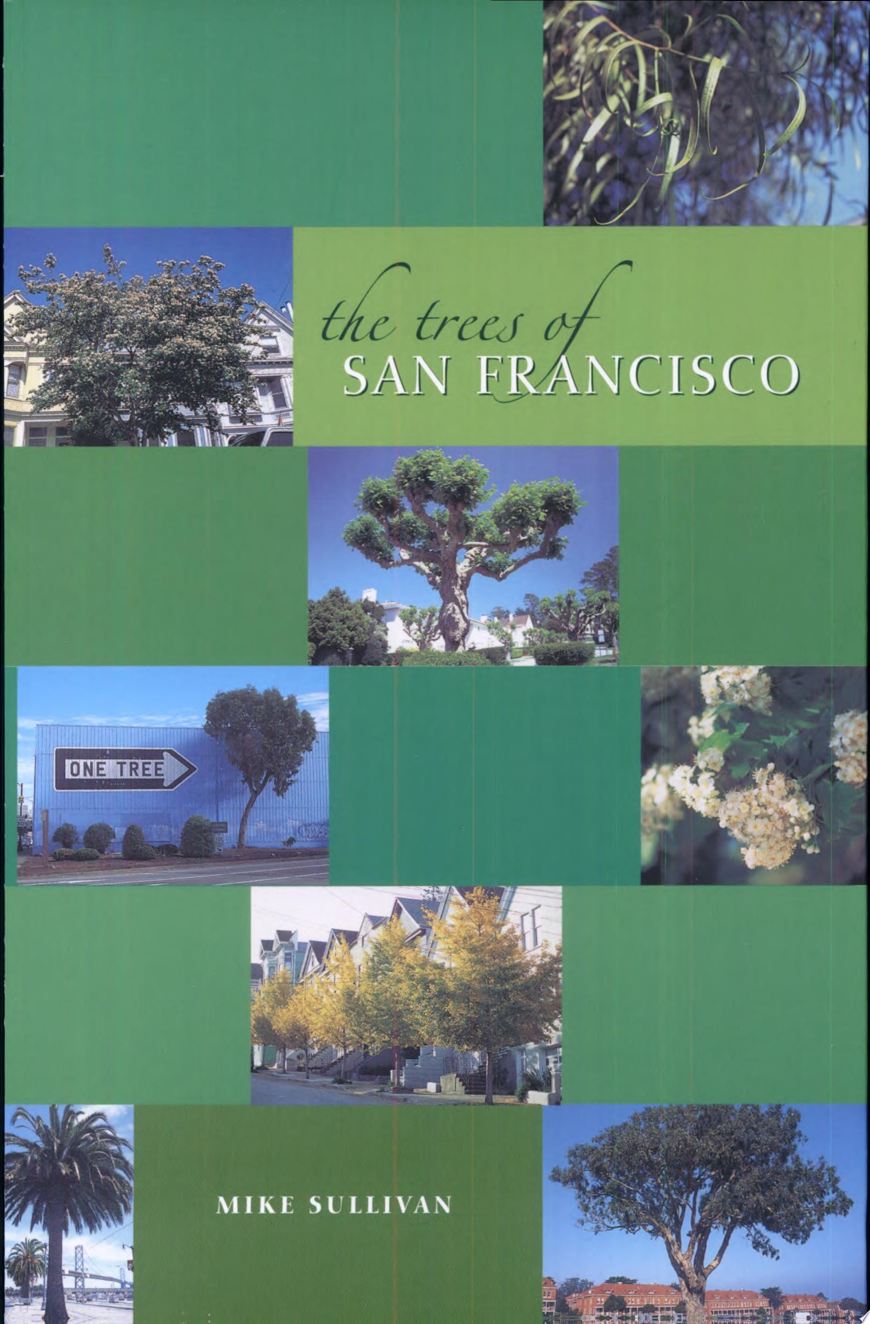 The Trees of San Francisco