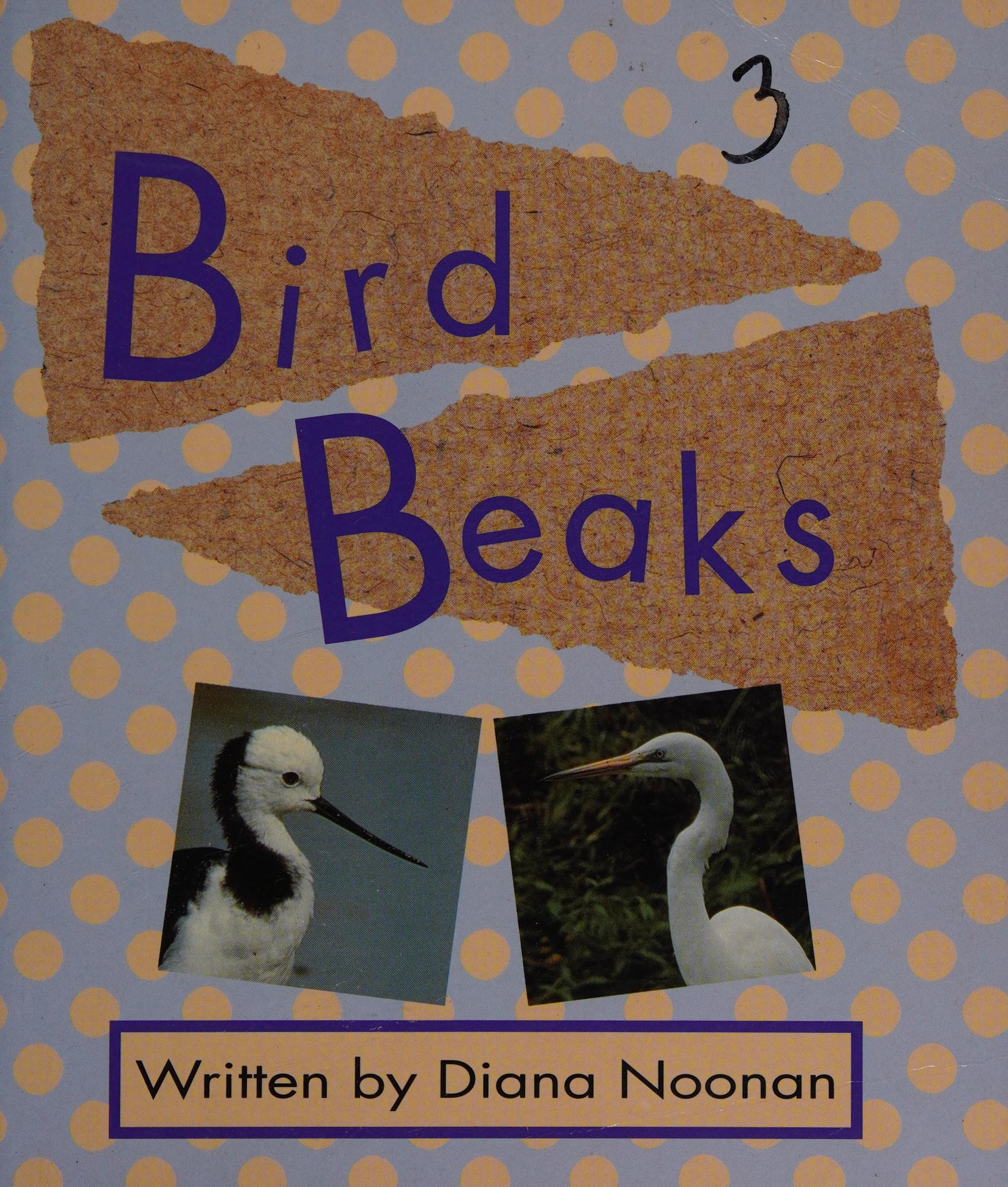 Bird Beaks