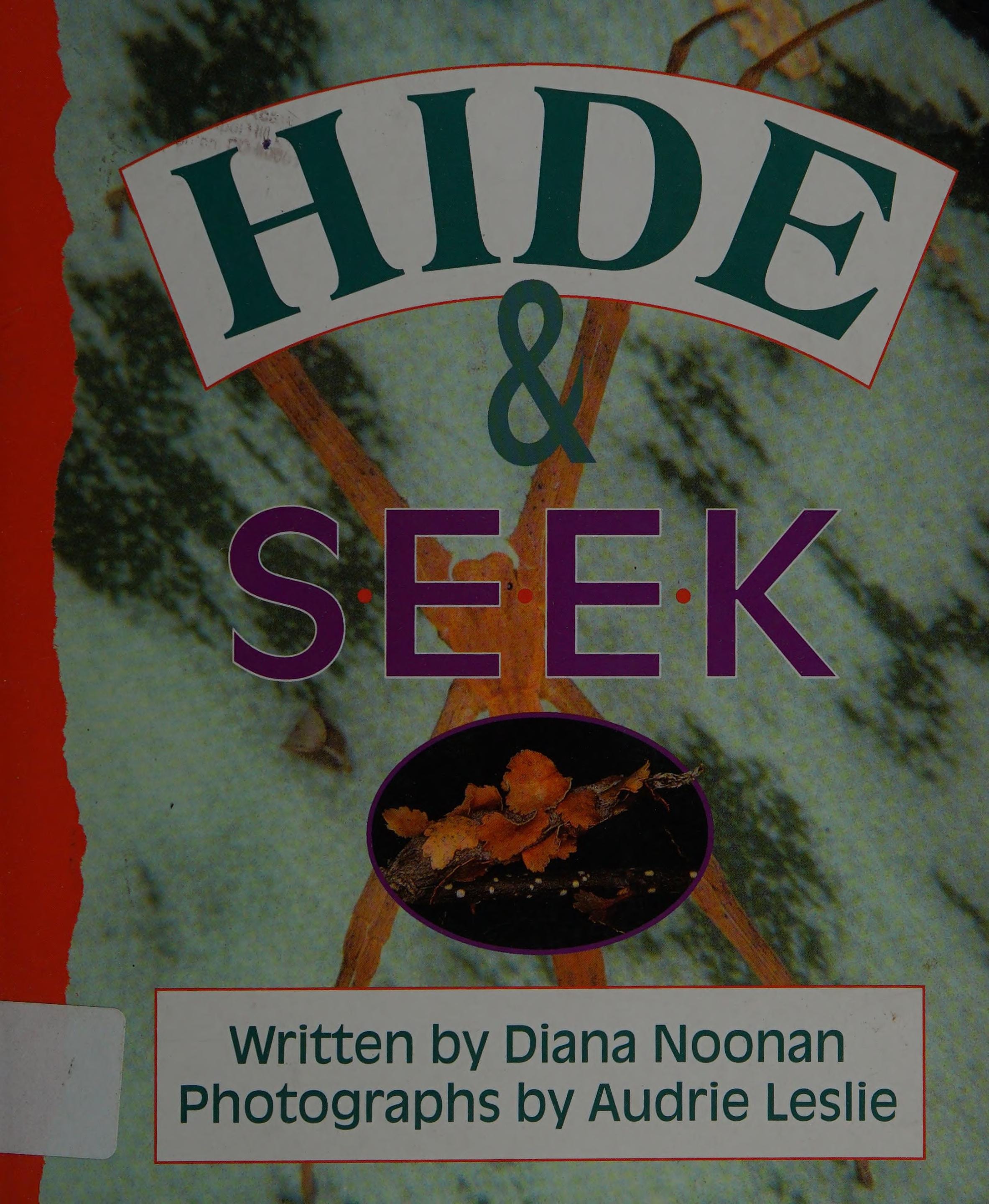 Hide and Seek