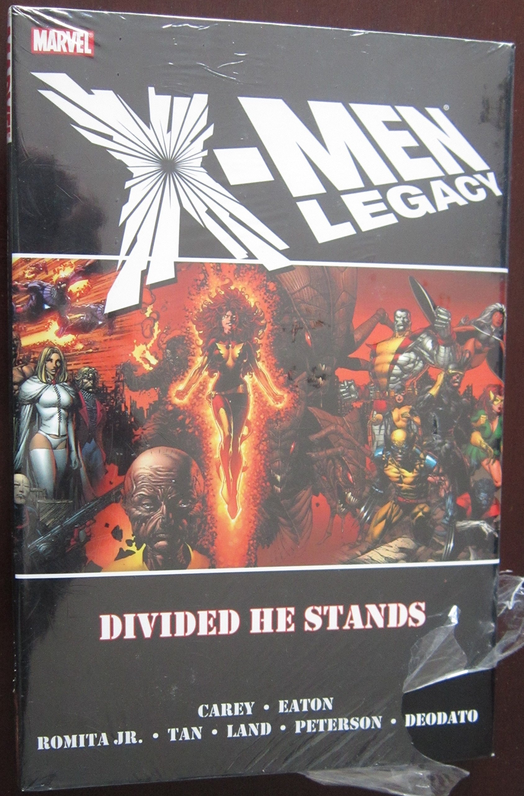 Divided He Stands