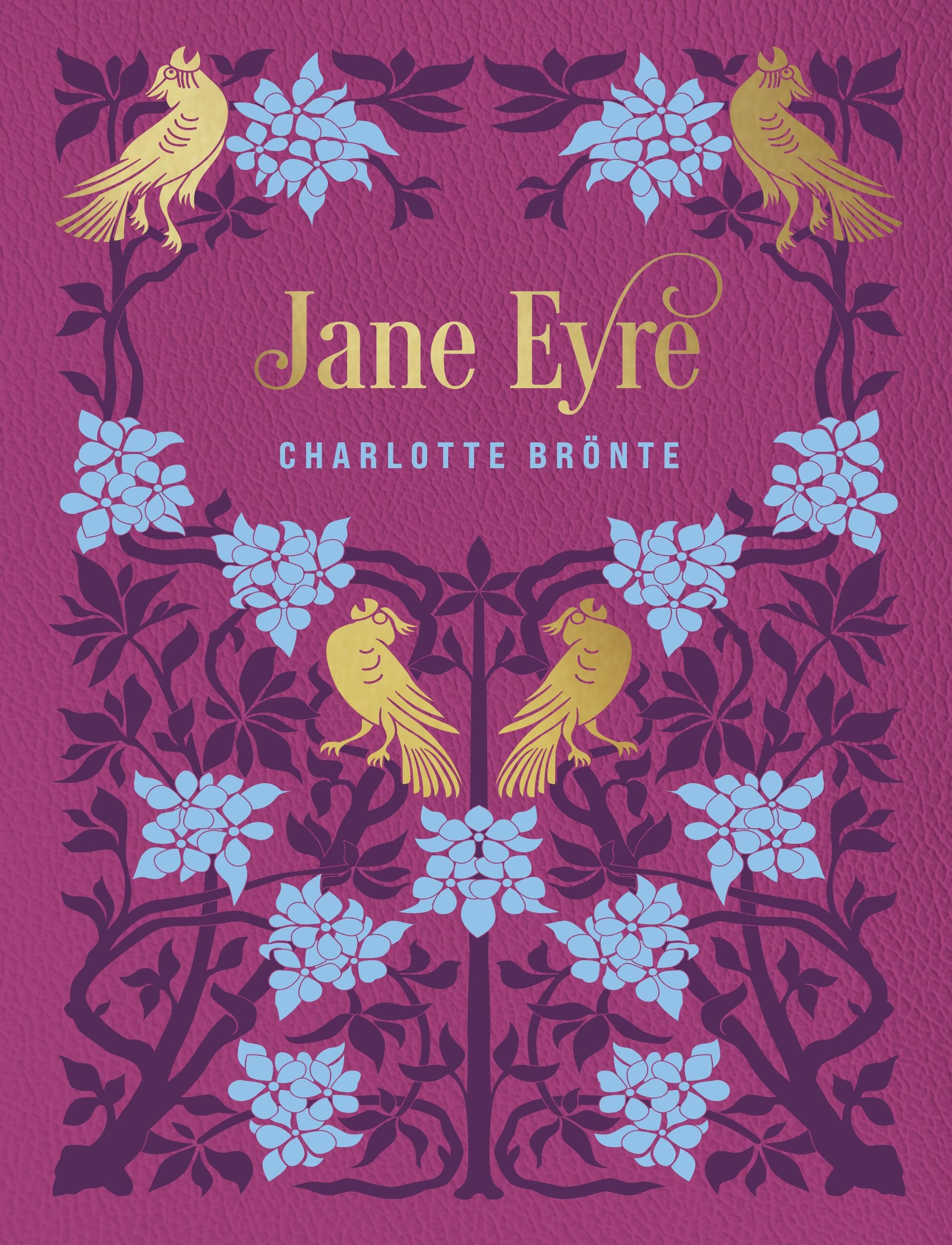 Jane Eyre Jane Eyre: English-French Learning Edition