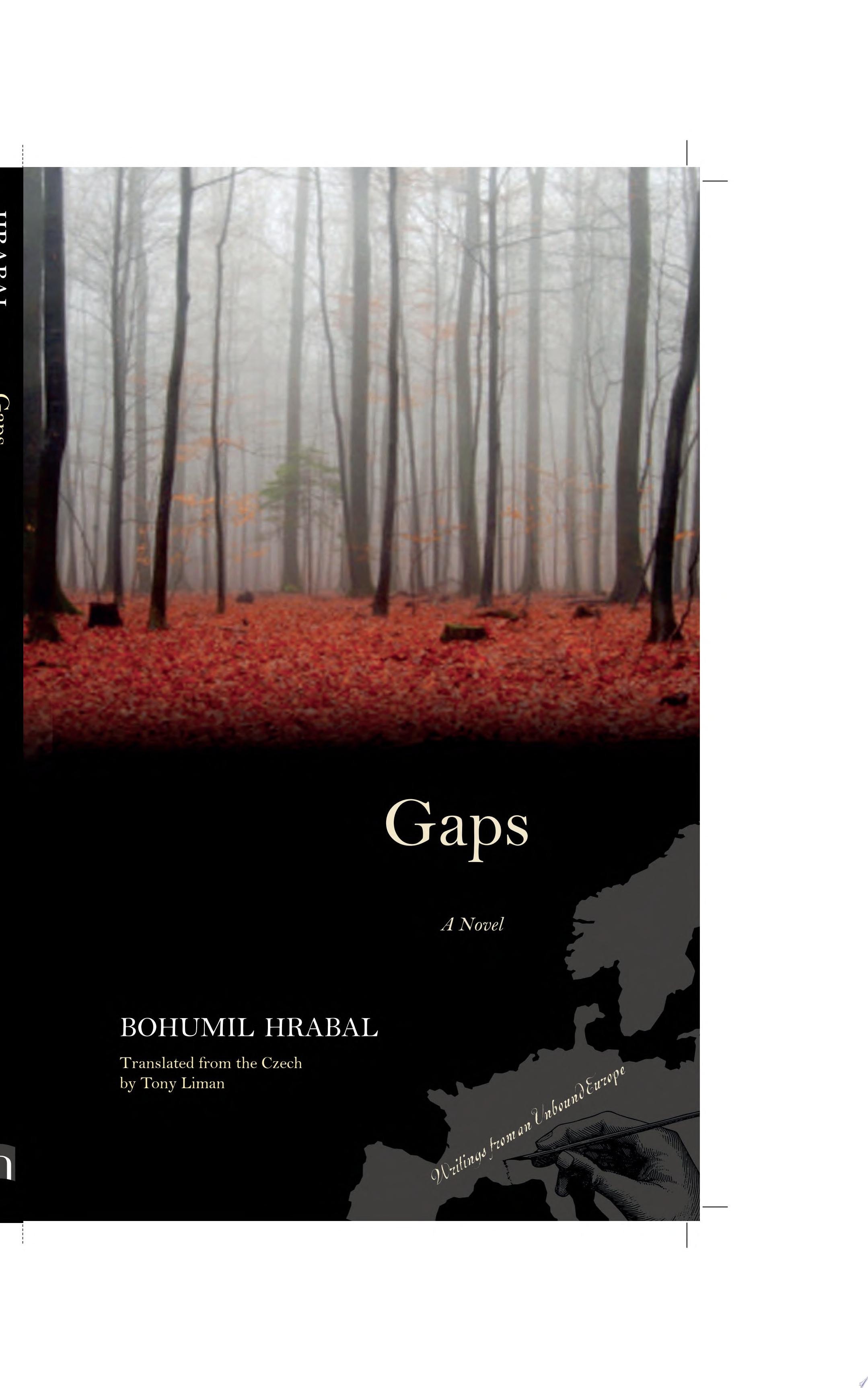 Gaps A Novel