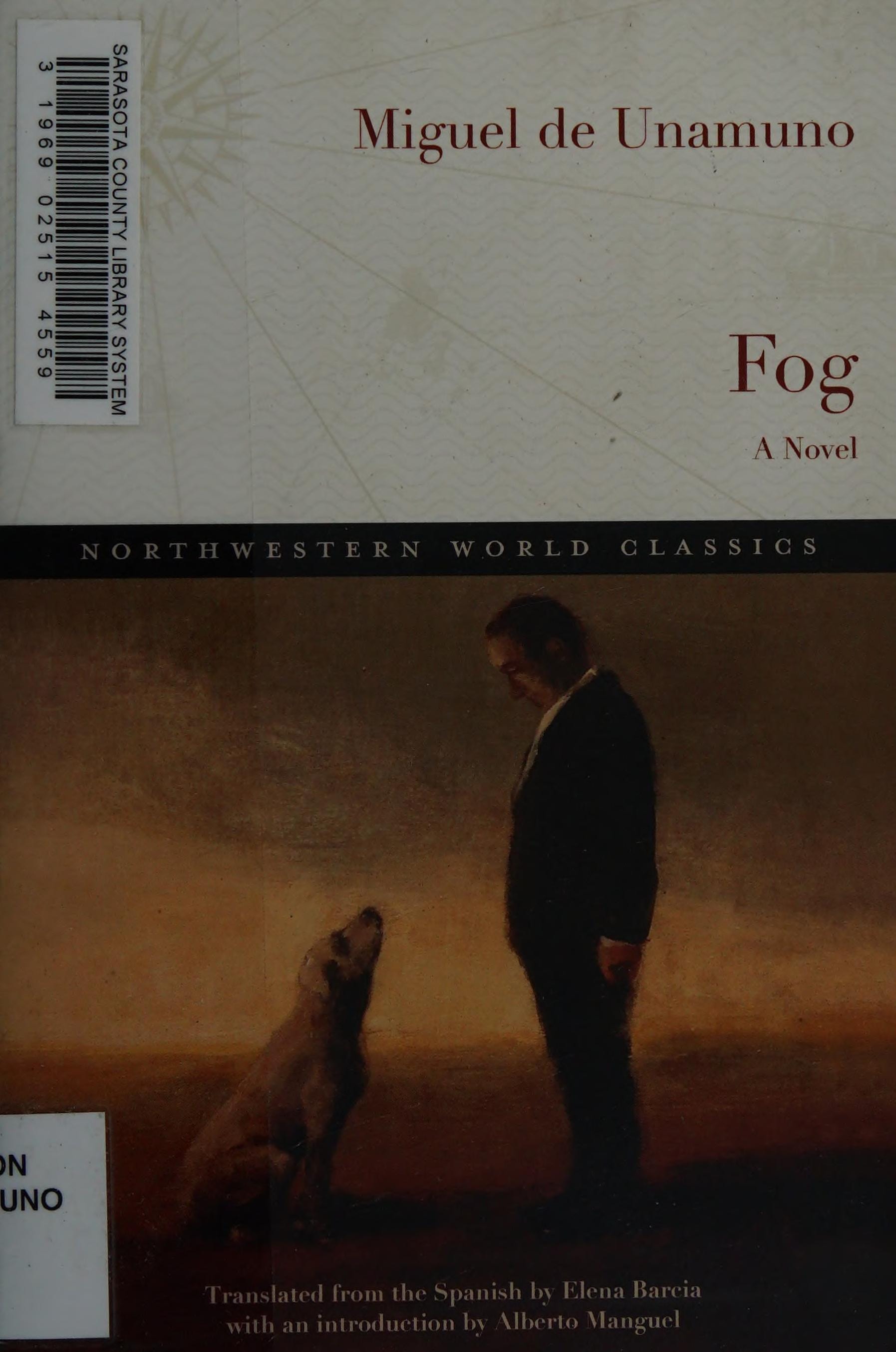 Fog A Novel