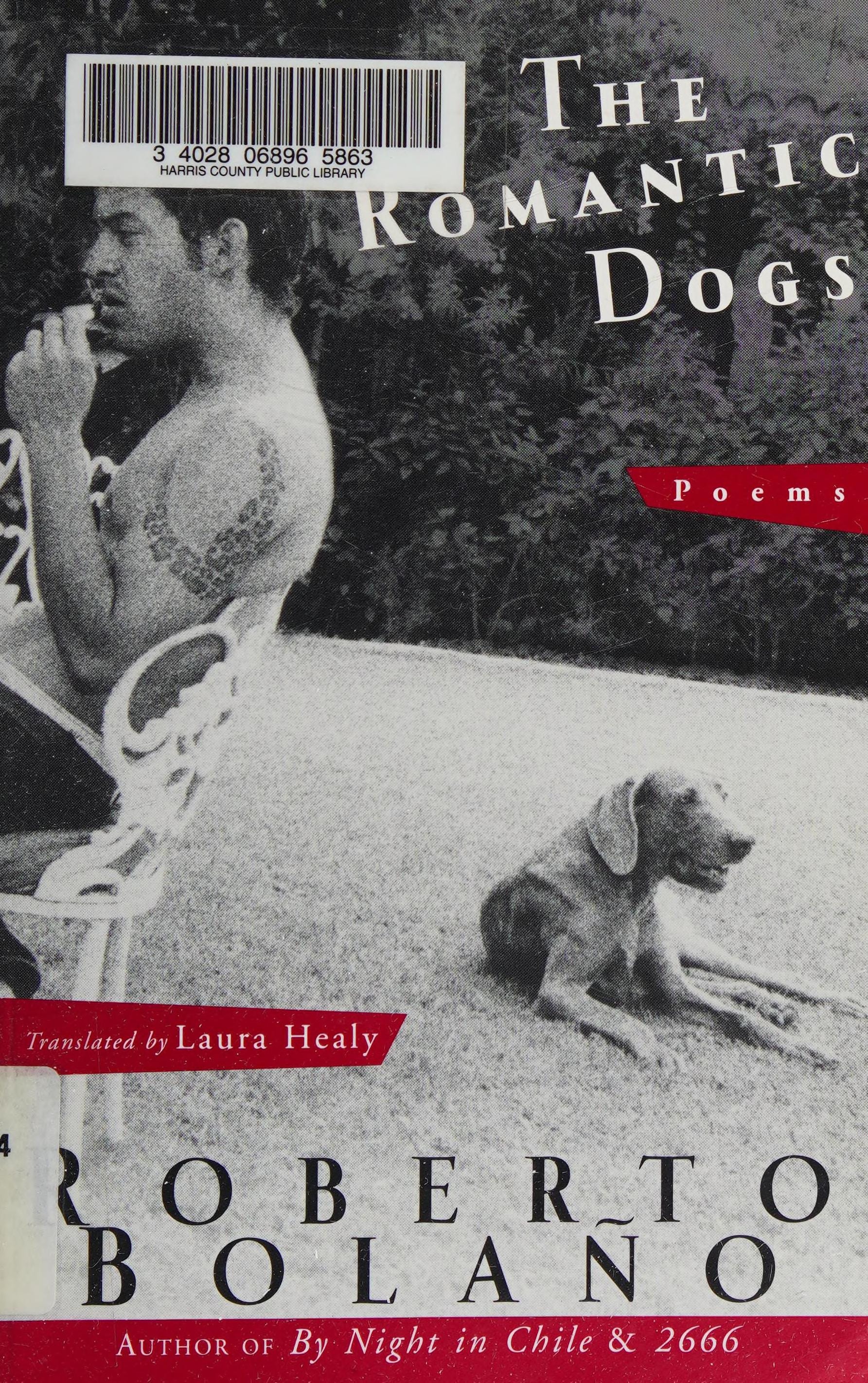 The Romantic Dogs 1980-1998