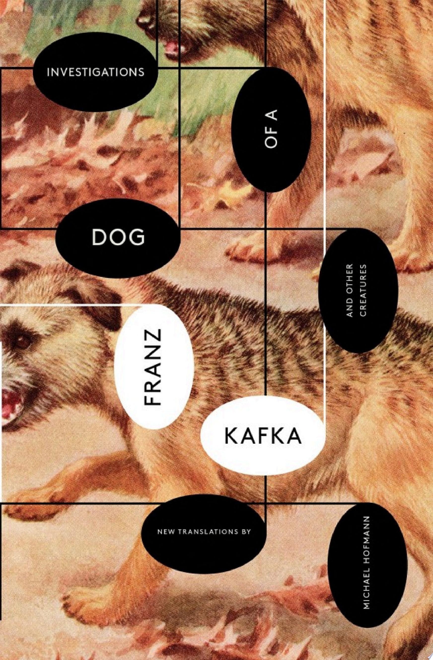 Investigations of a Dog
