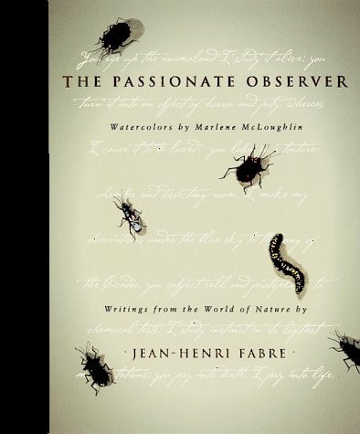 The Passionate Observer