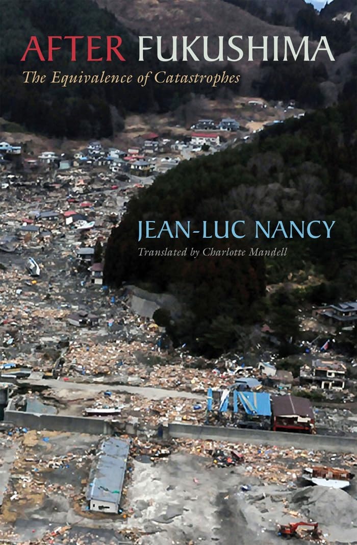 After Fukushima The Equivalence of Catastrophes