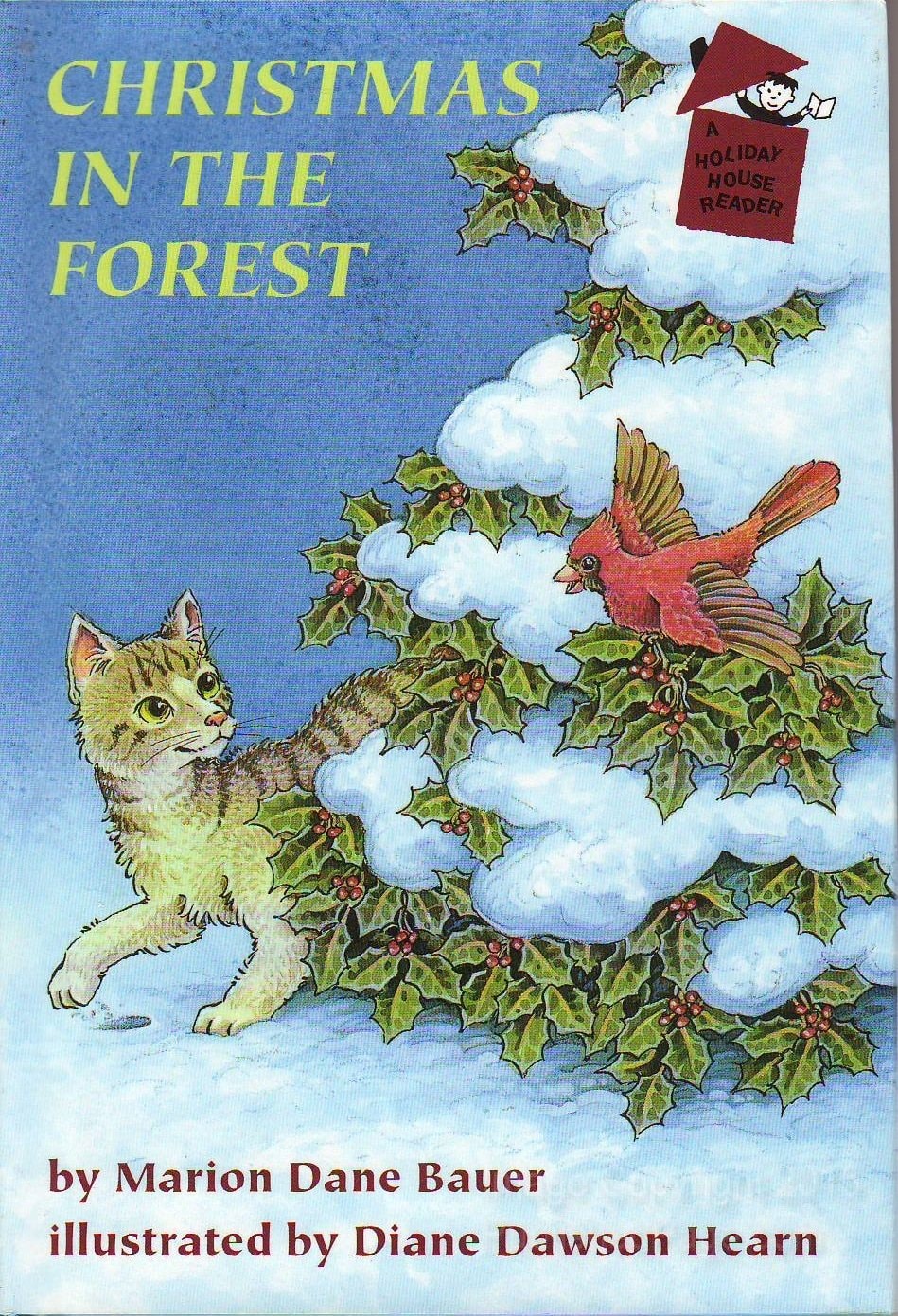 Christmas in the Forest