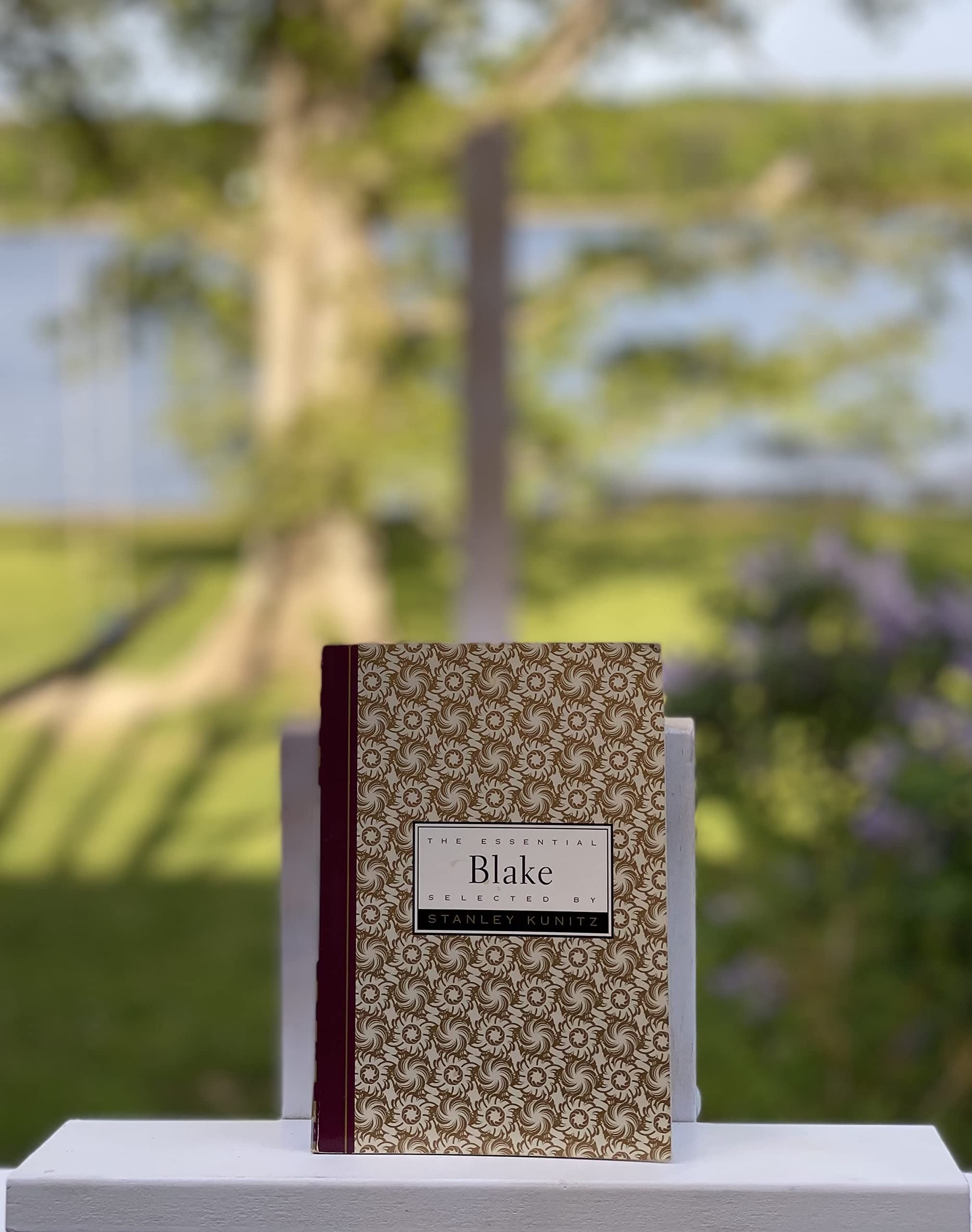 The Essential Blake