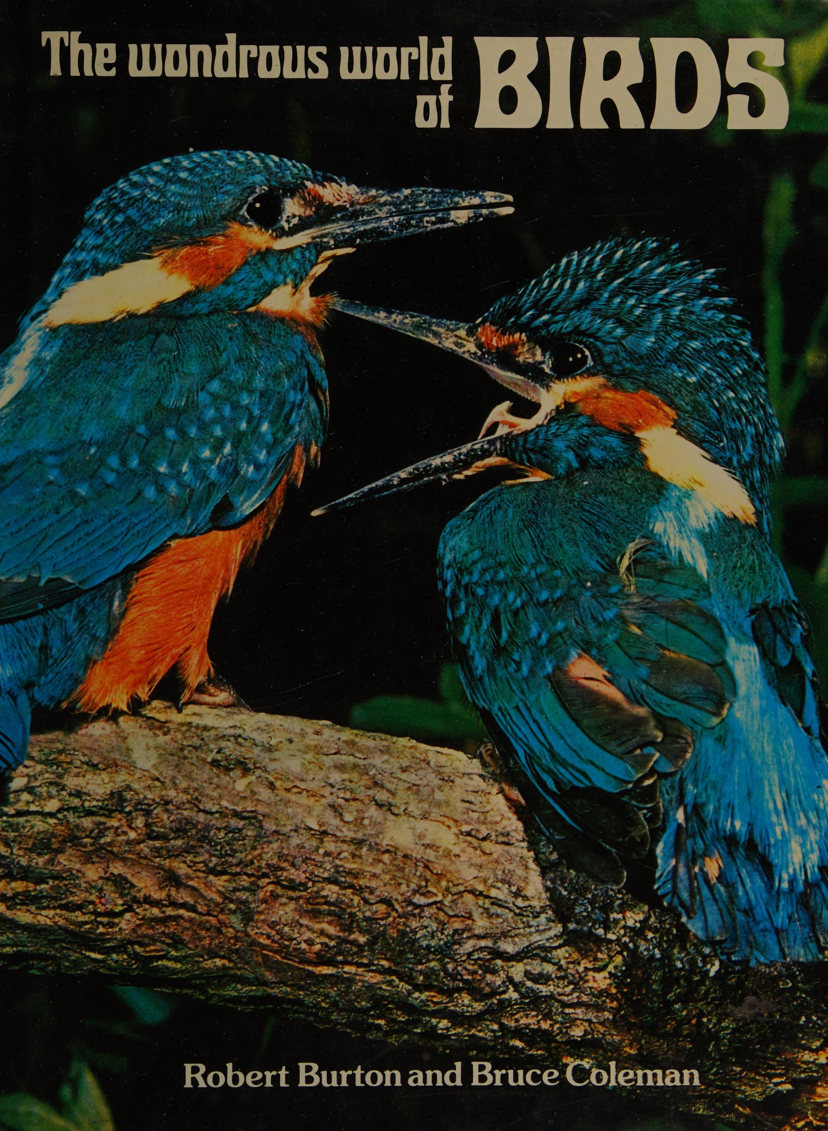 The Wondrous World of Birds