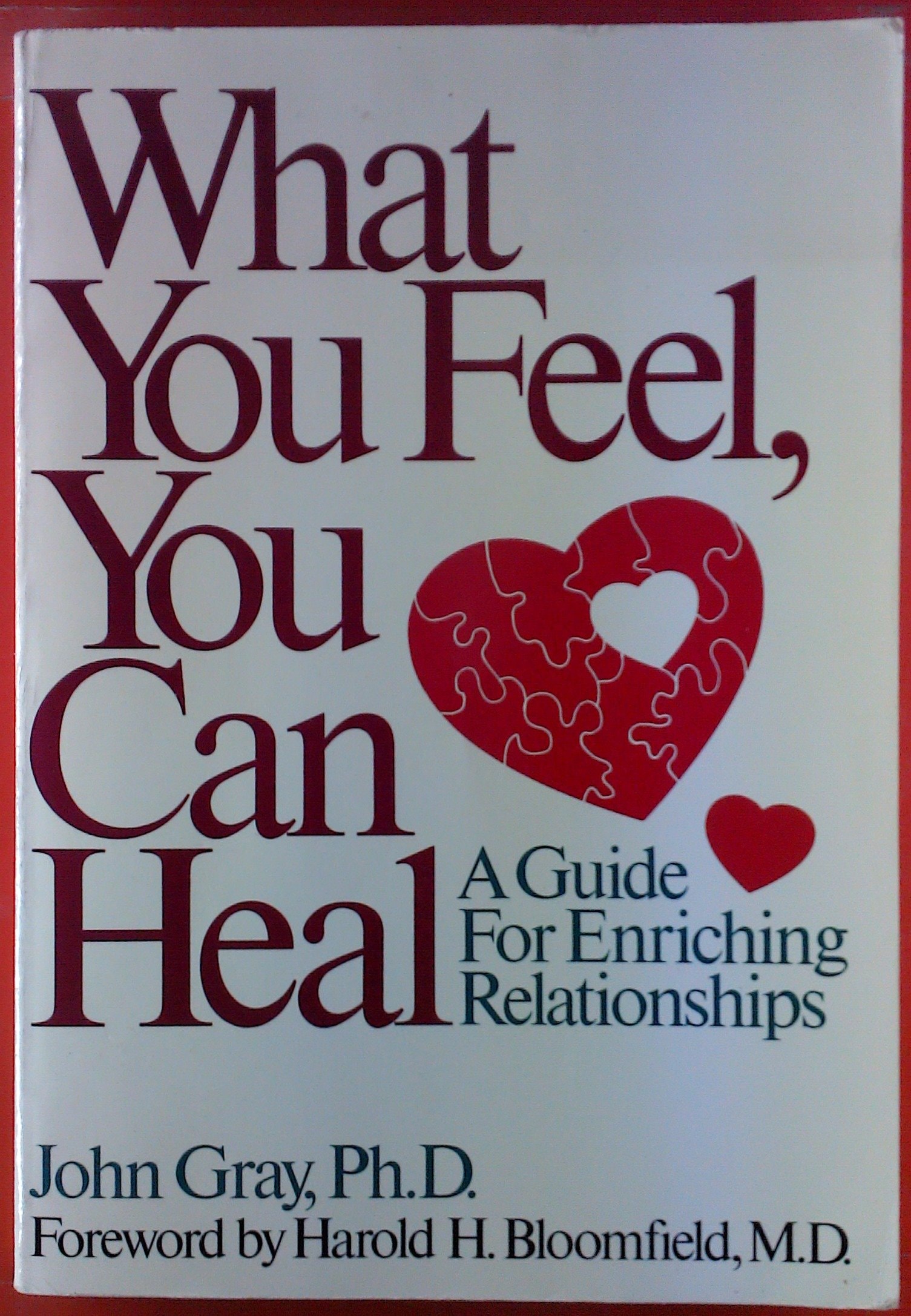 What You Feel You Can Heal A Guide for Enriching Relationships
