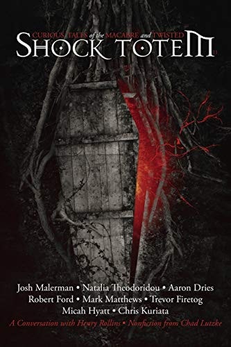 Shock Totem 11 Curious Tales of the Macabre and Twisted