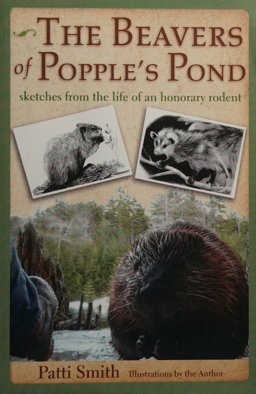 The Beavers of Popple's Pond Sketches from the Life of an Honorary Rodent