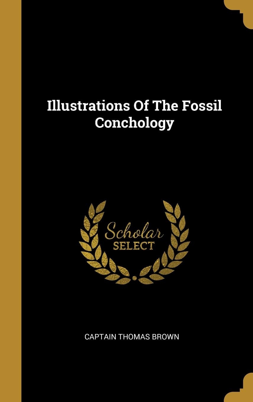 Illustrations Of The Fossil Conchology