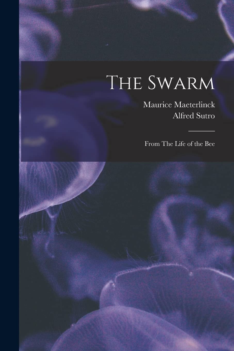The Swarm From The Life Of The Bee