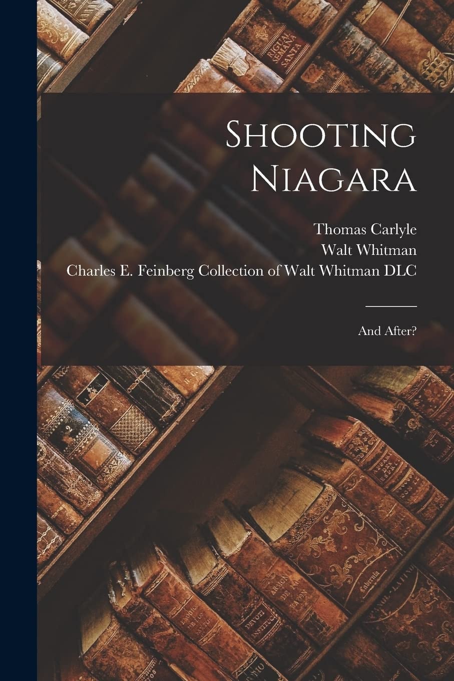 Shooting Niagara And After?