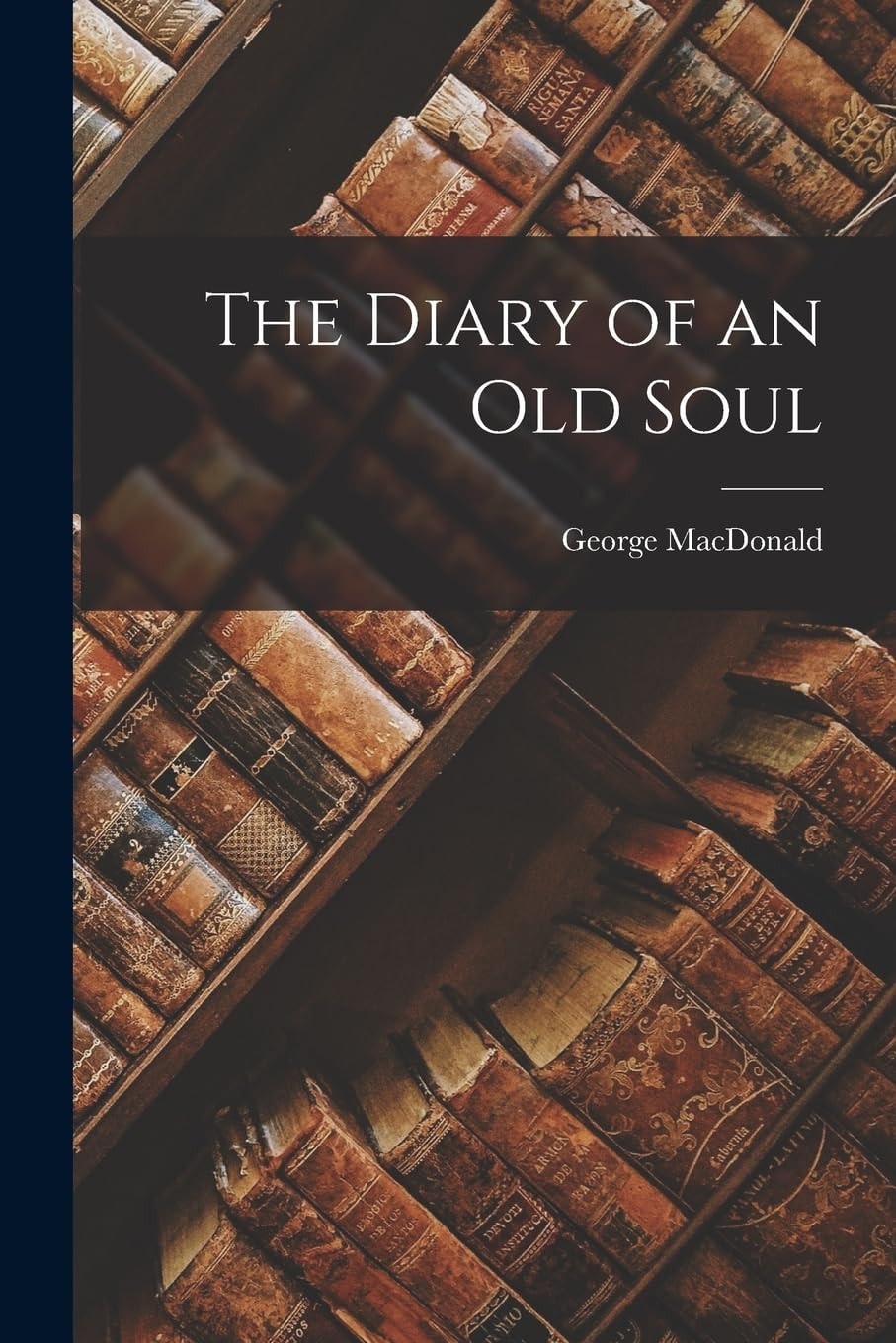 The Diary of an Old Soul