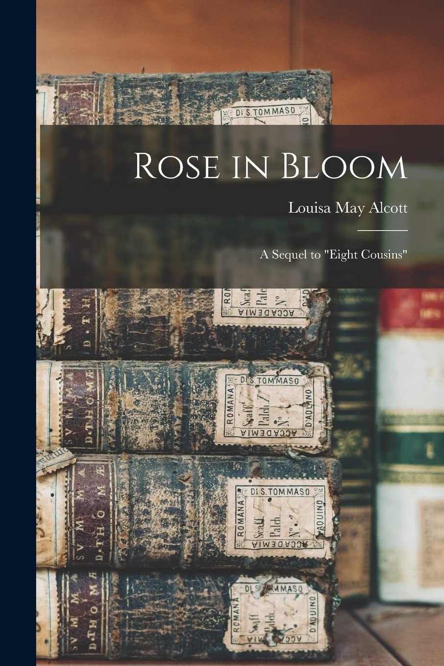 Rose in Bloom A Sequel to Eight Cousins