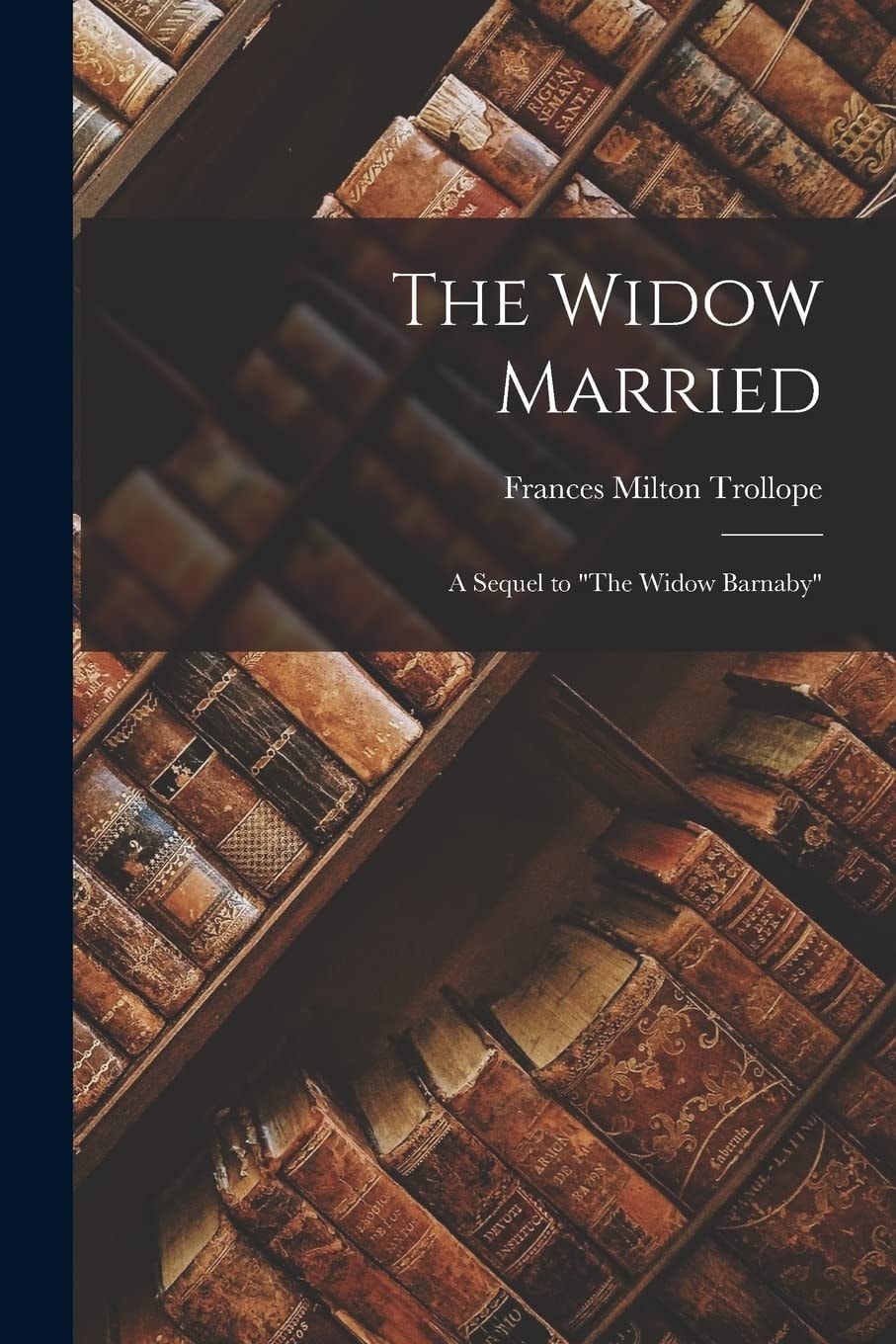 The Widow Married; a Sequel to The Widow Barnaby