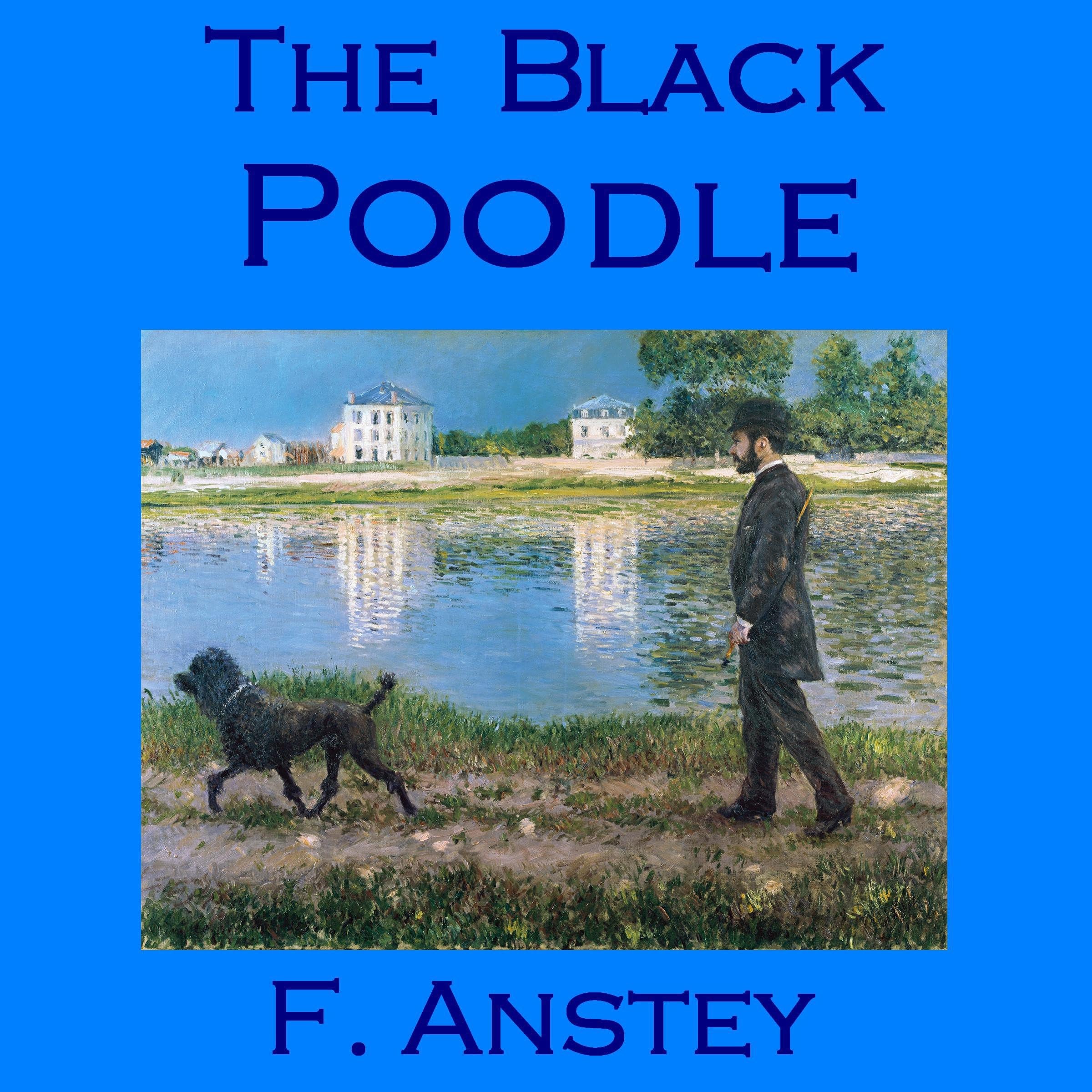 The Black Poodle