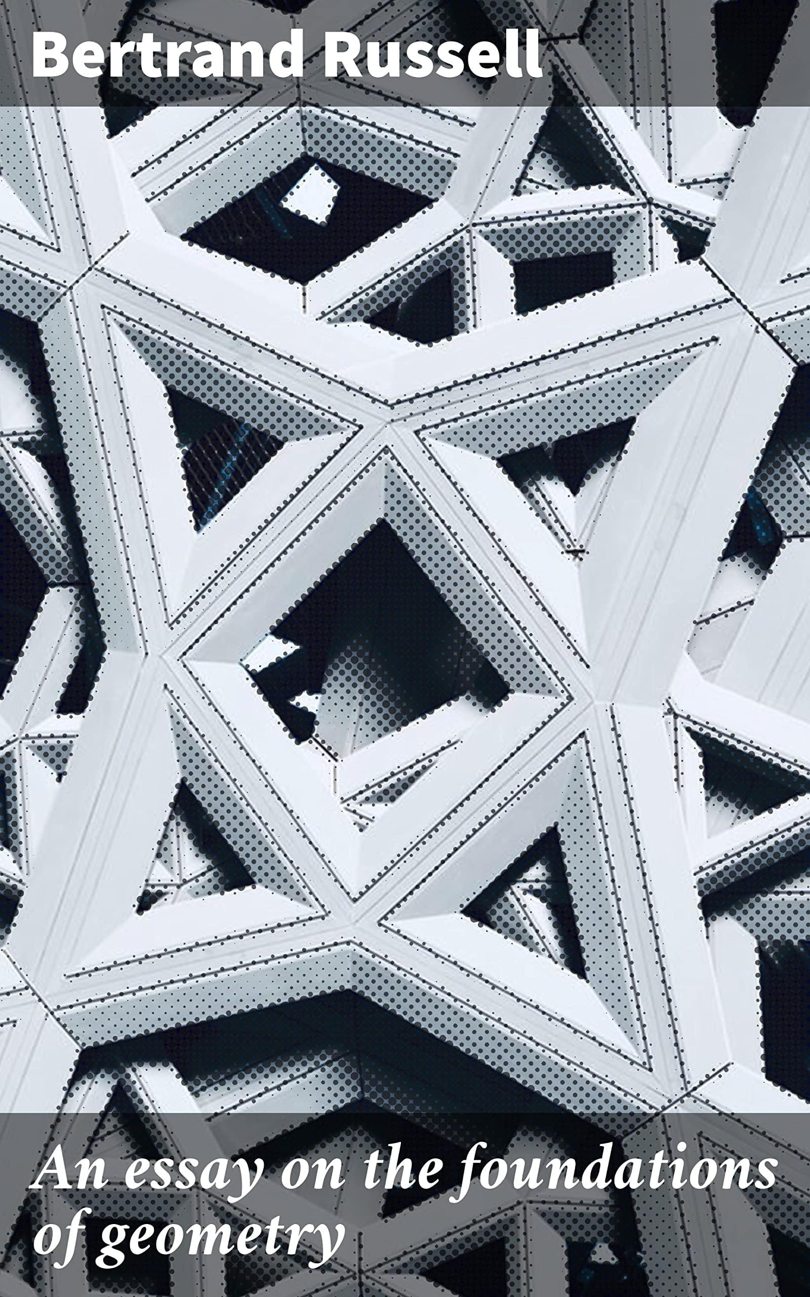 An Essay on the Foundations of Geometry