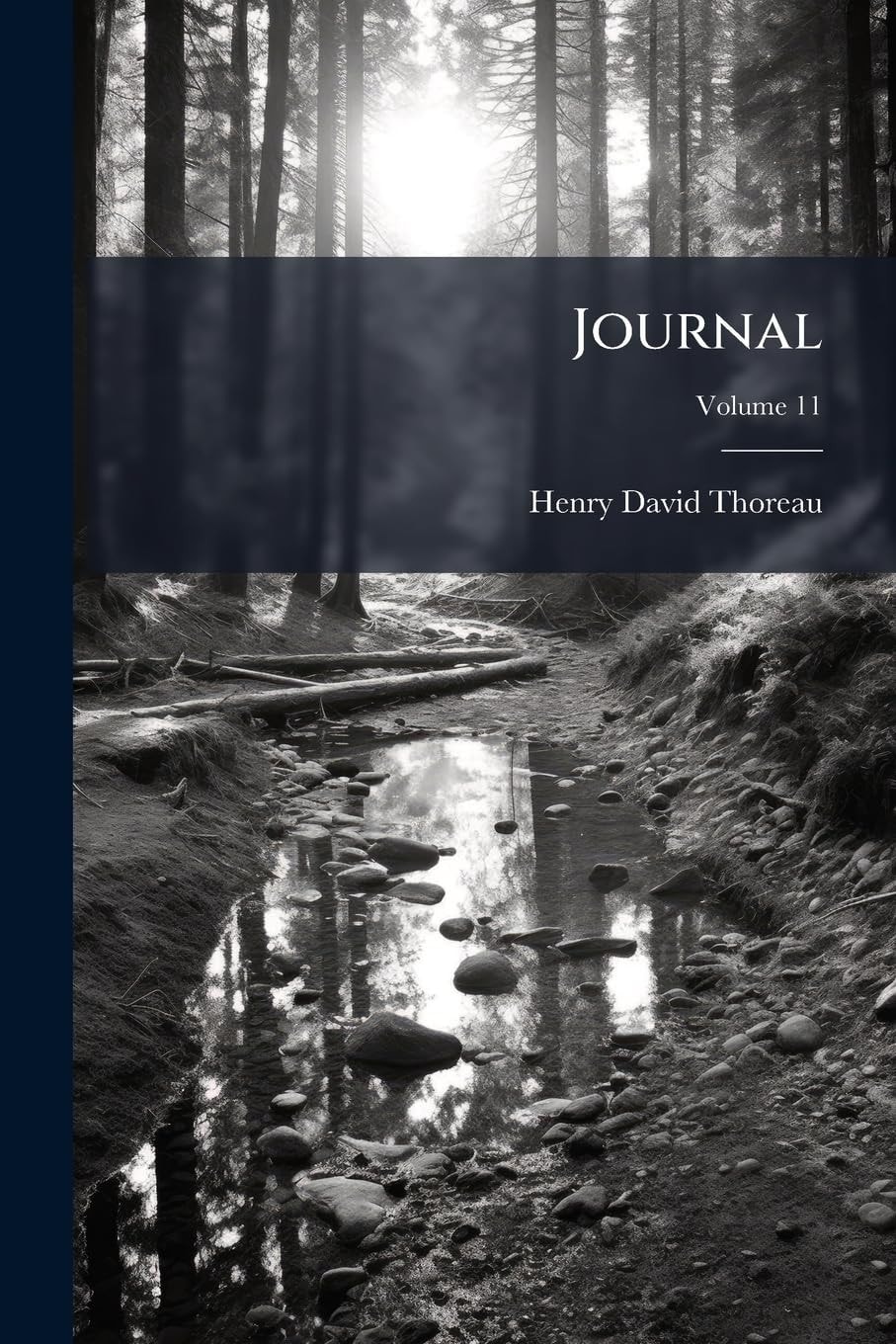 Journal