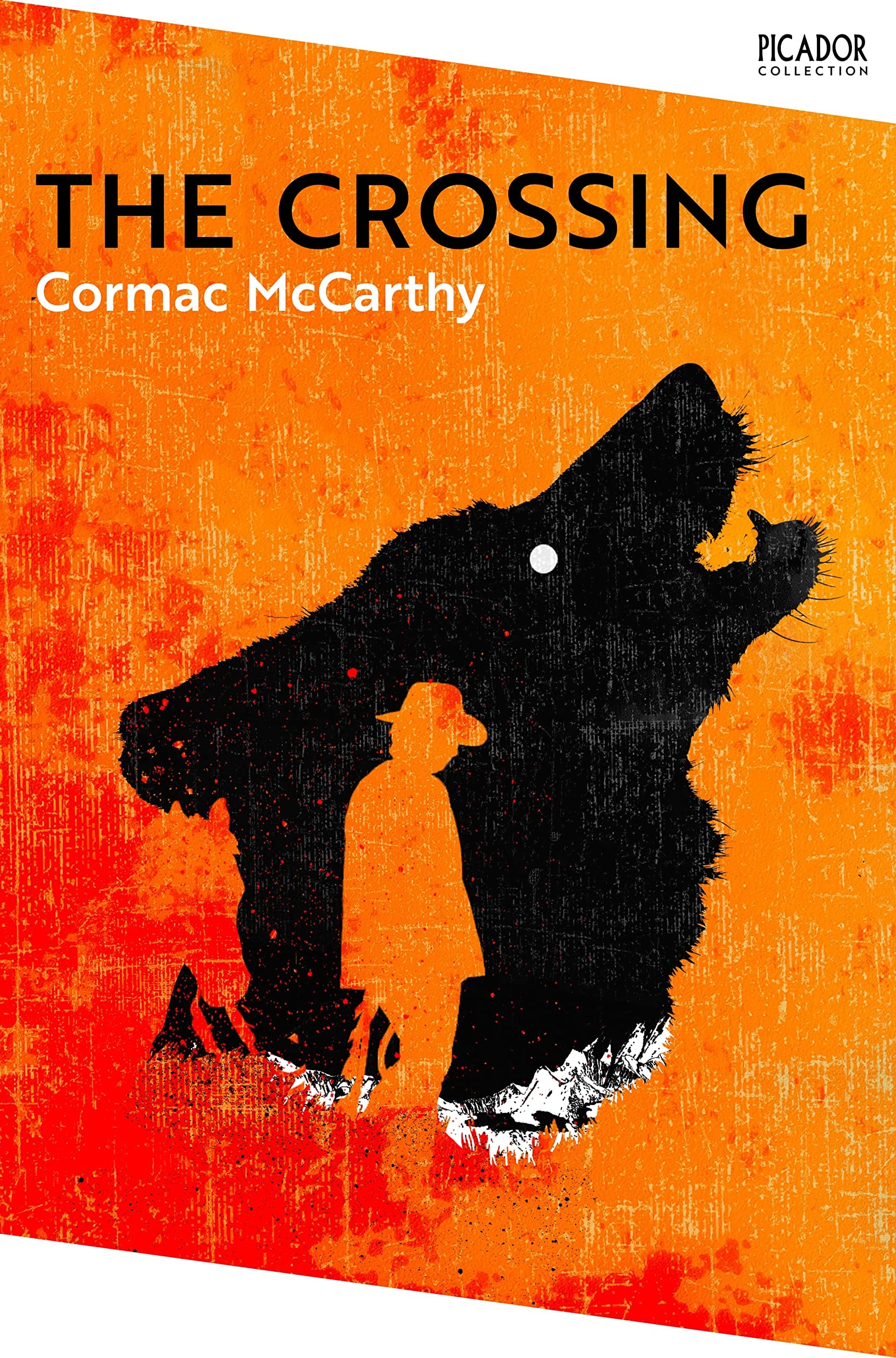 The Crossing: the Border Trilogy 2