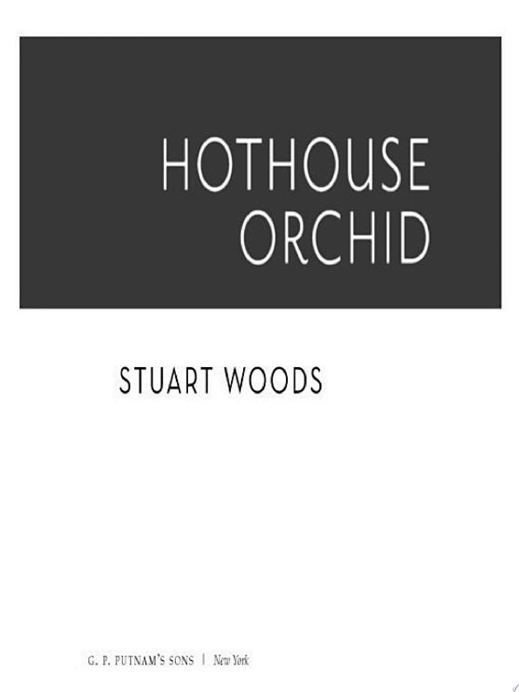 Hothouse Orchid