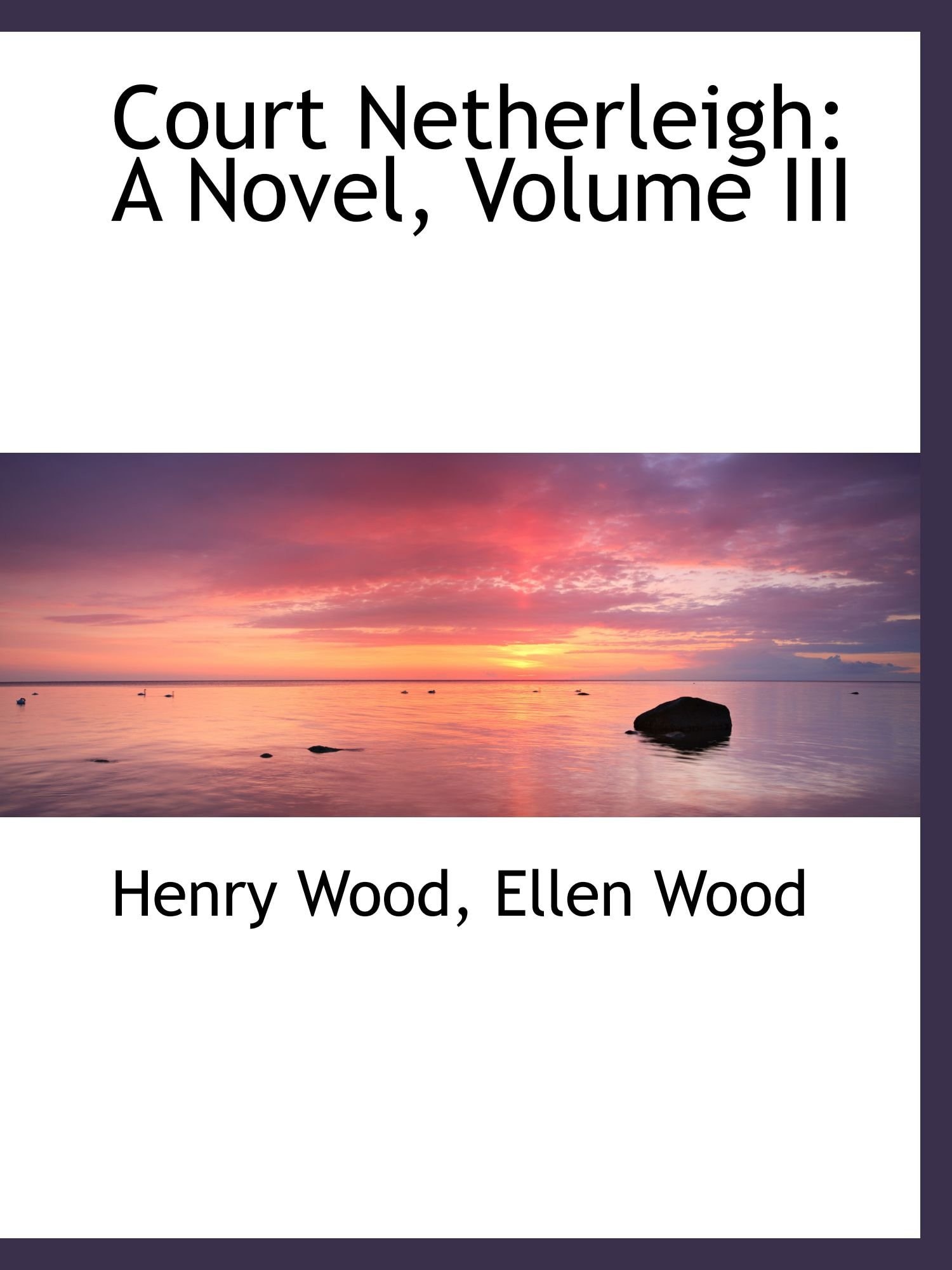 Court Netherleigh: A Novel, Volume III