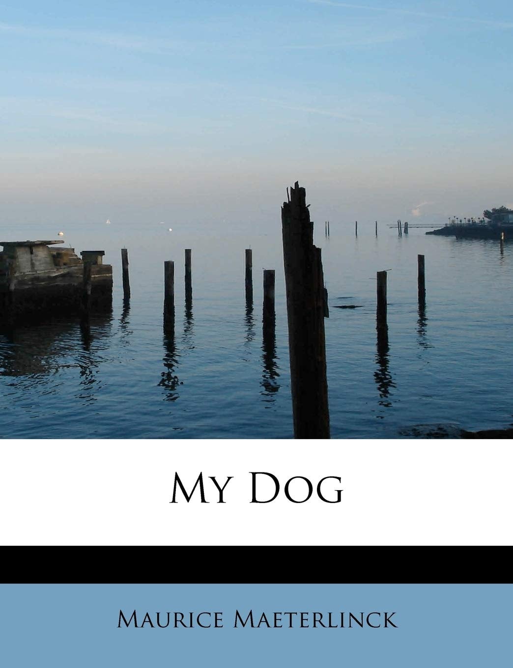 My Dog