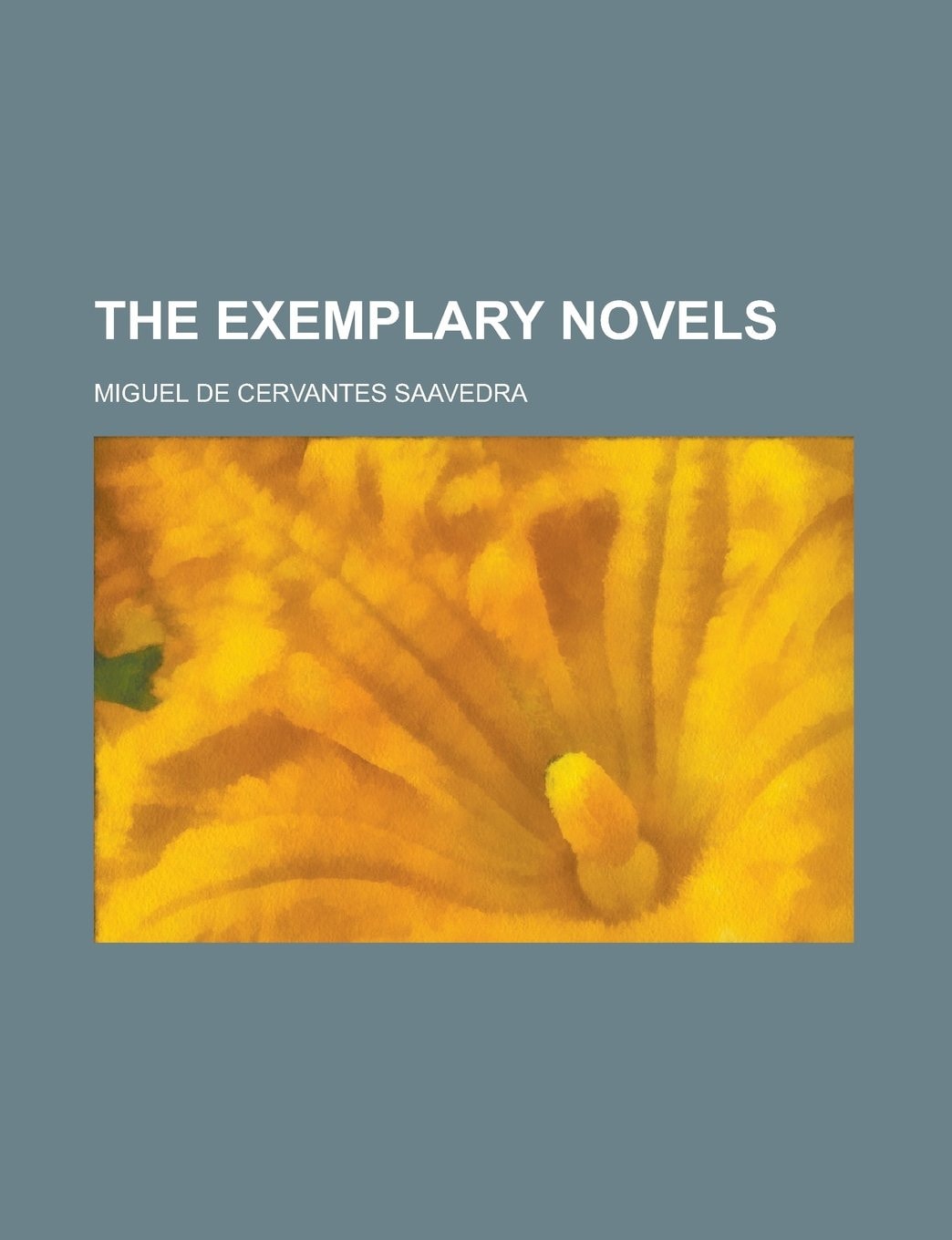 The Exemplary Novels