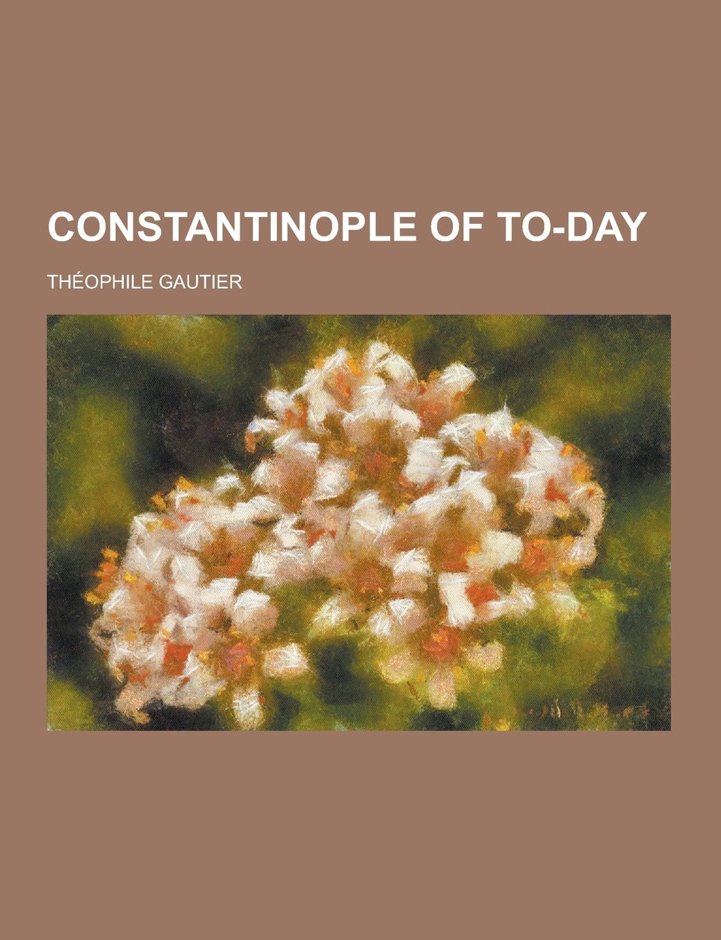 Constantinople of To-Day