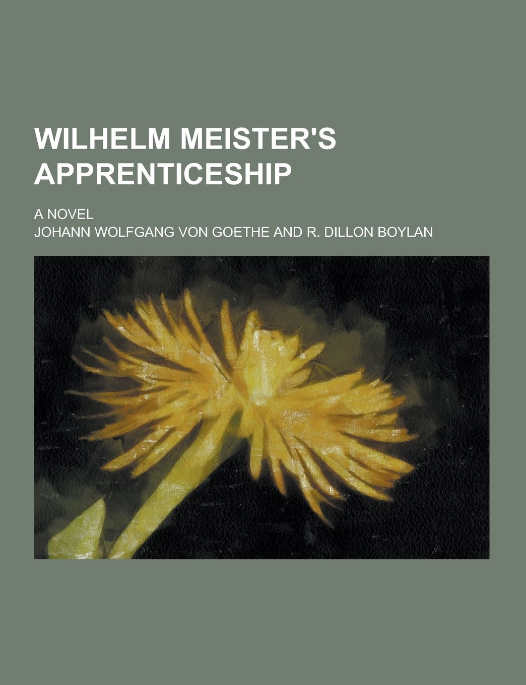 Wilhelm Meister's Apprenticeship A Novel (Classic Reprint)