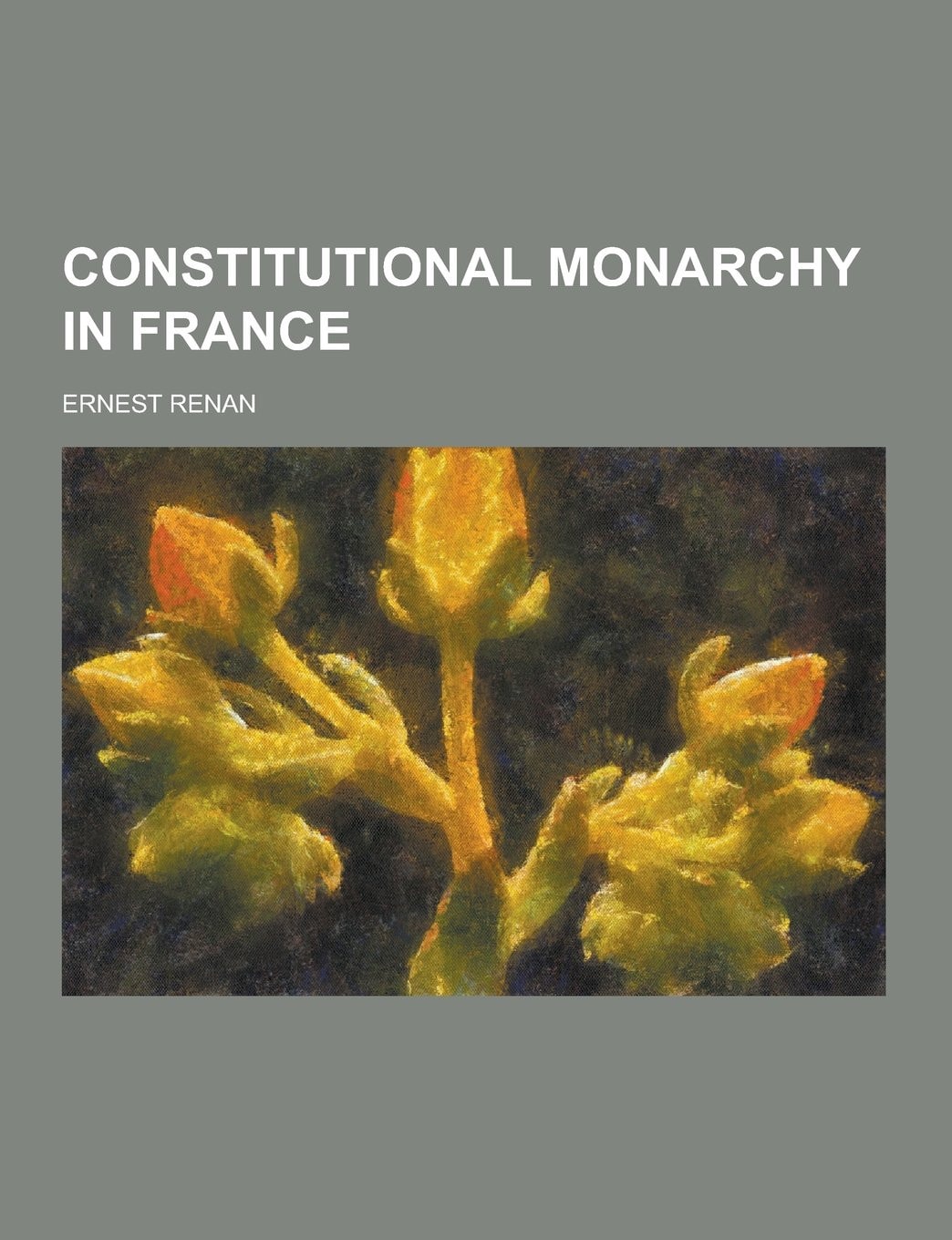 Constitutional Monarchy in France