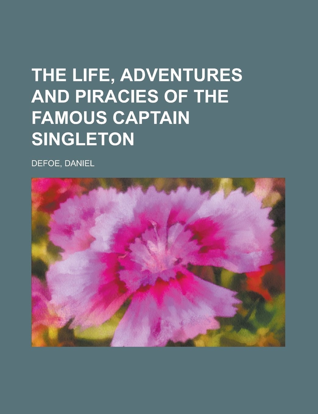 The Life, Adventures, And Piracies Of The Famous Captain Singleton (1903)