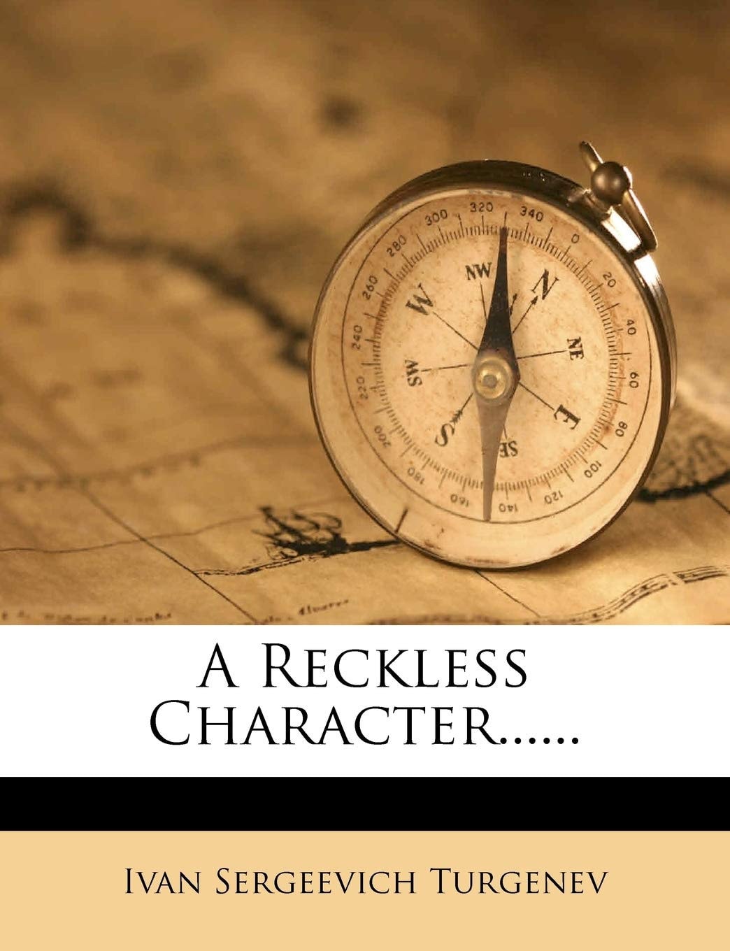 A Reckless Character (Large Print Edition)