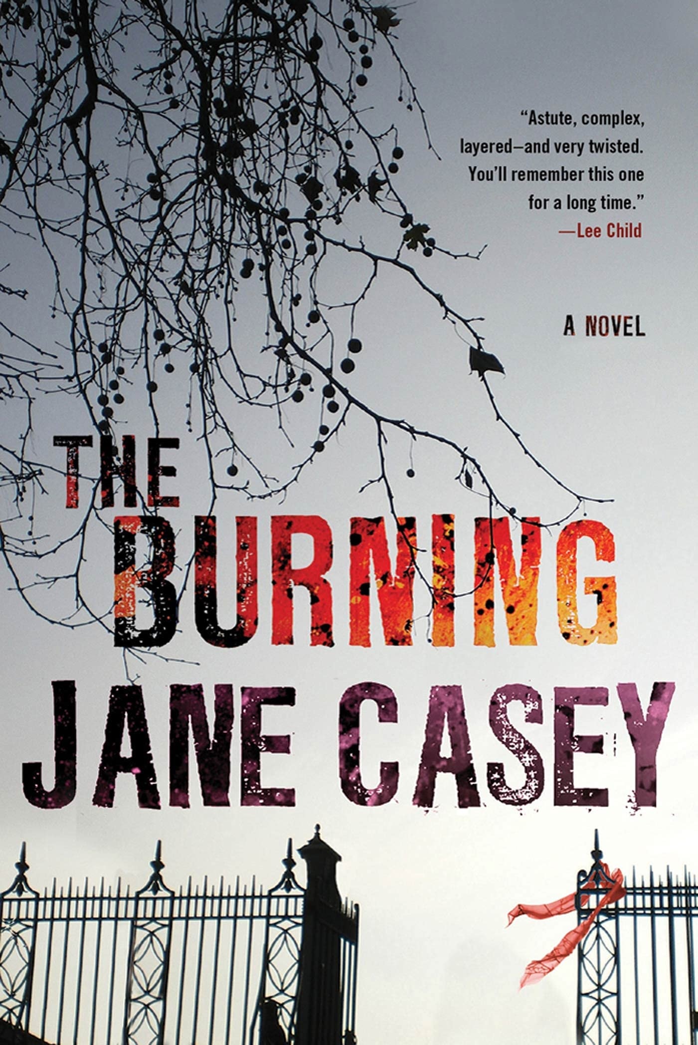 The Burning A Maeve Kerrigan Crime Novel