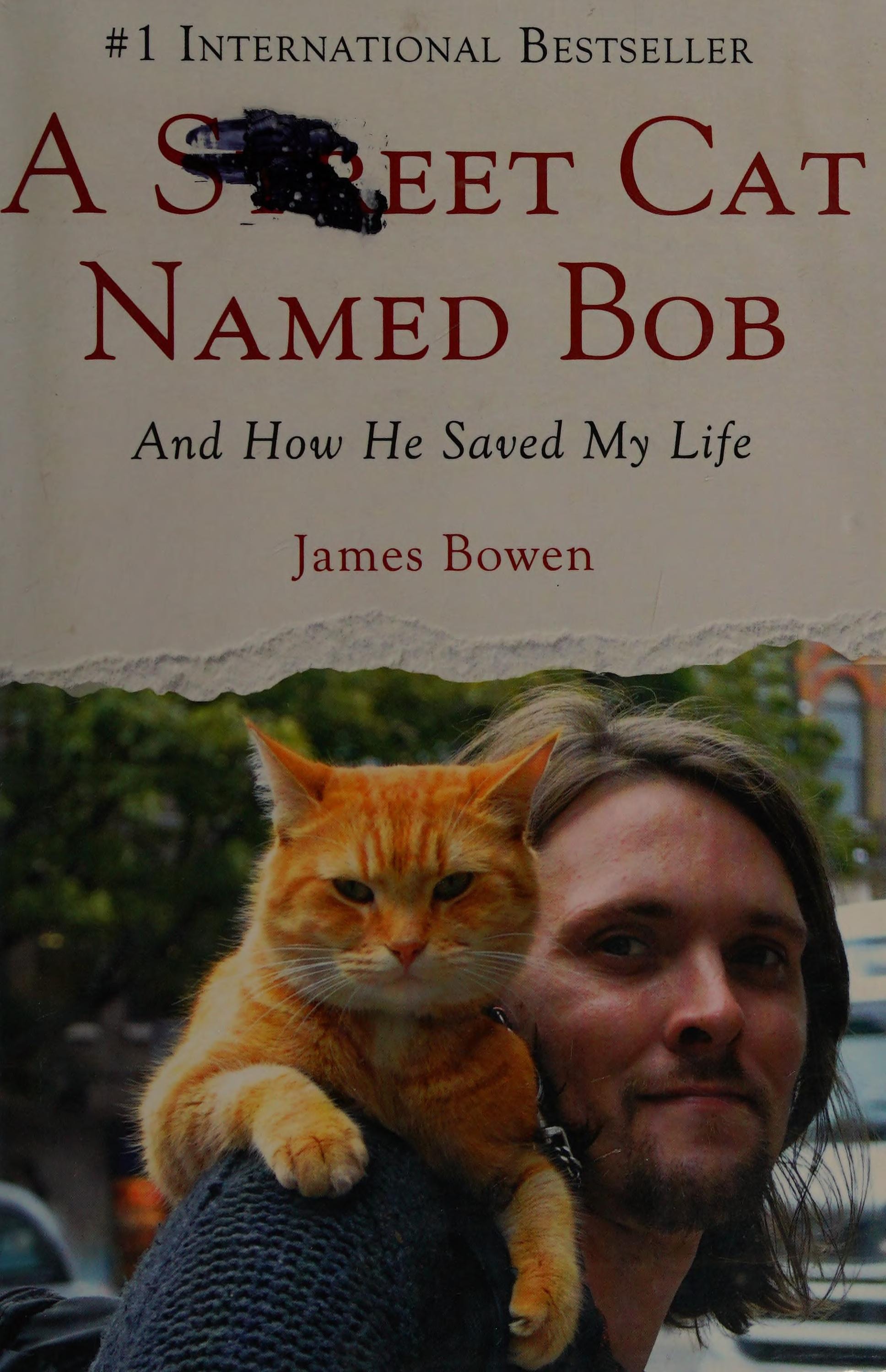 A Street Cat Named Bob And How He Saved My Life