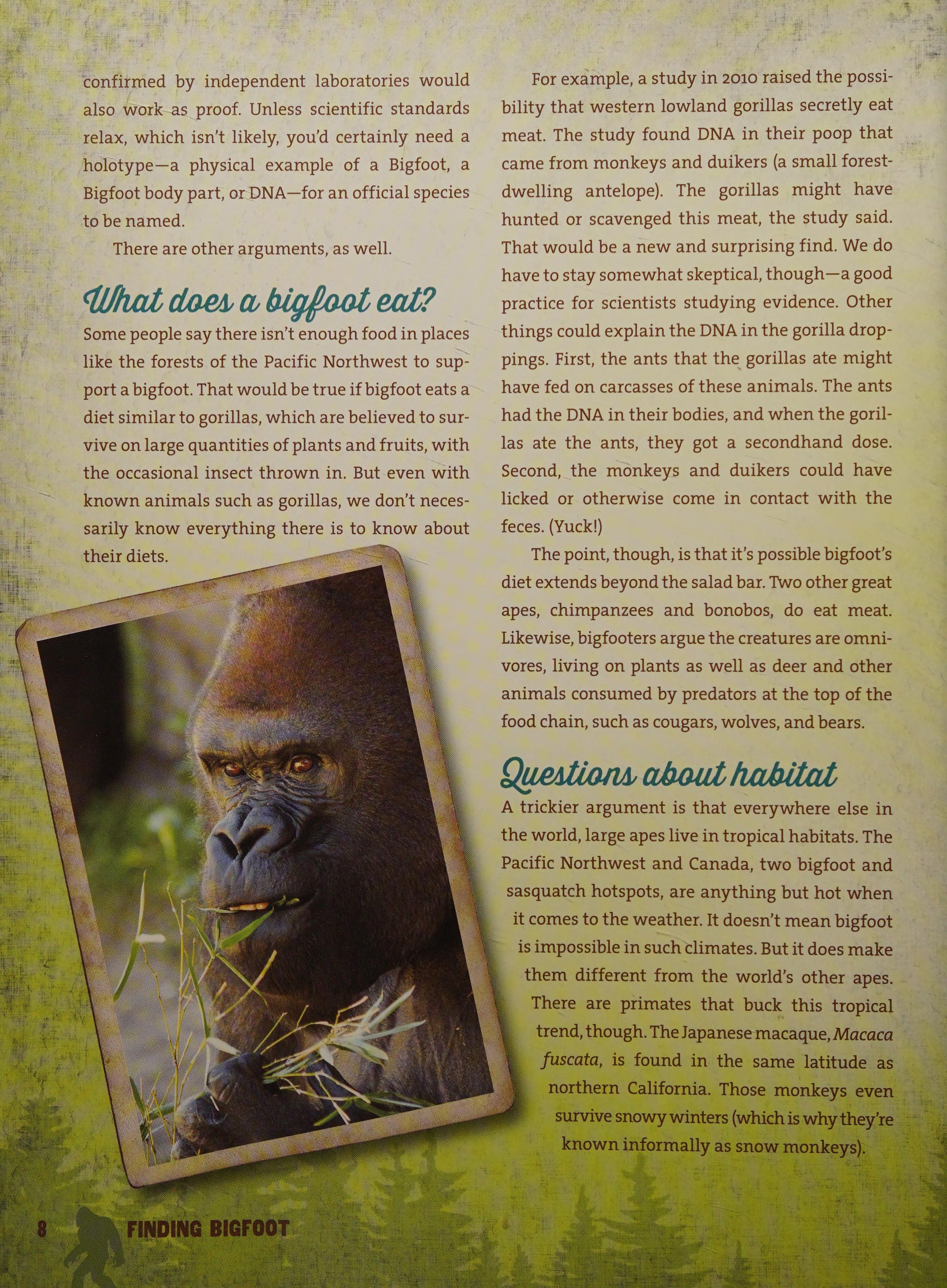 Finding Bigfoot Everything You Need to Know