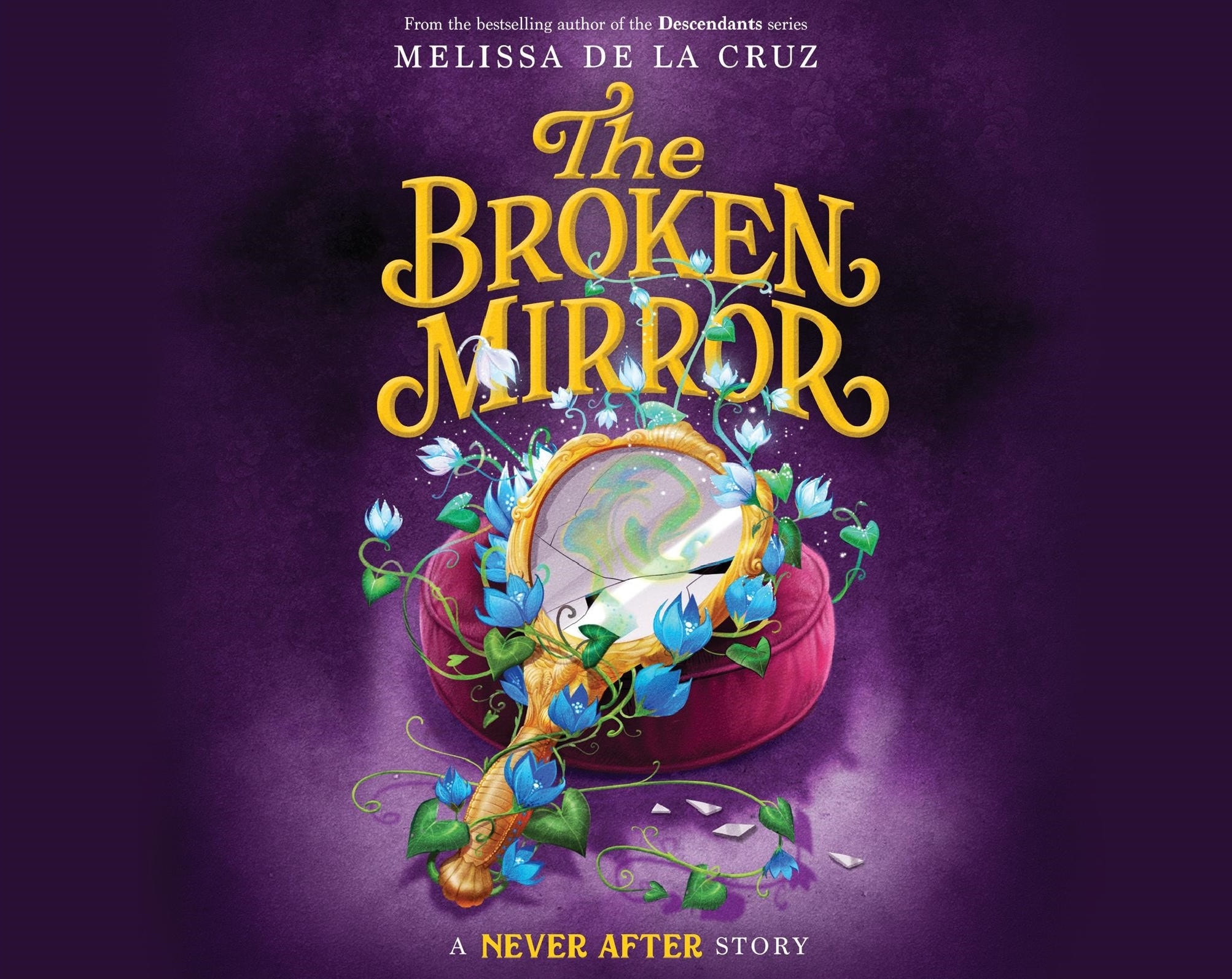 Broken Mirror