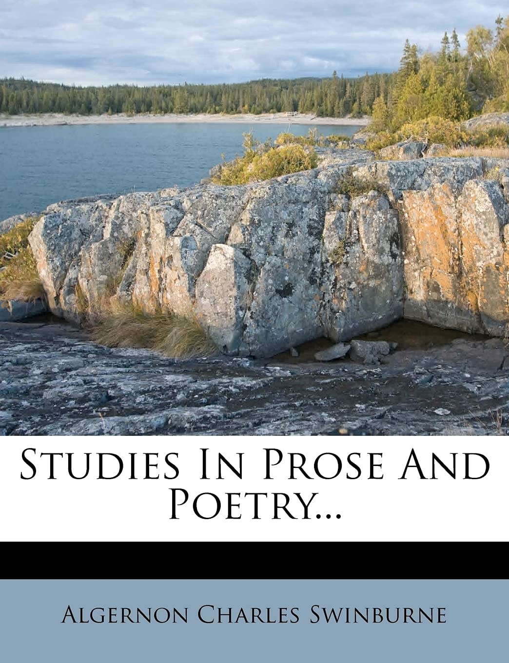 Studies In Prose And Poetry